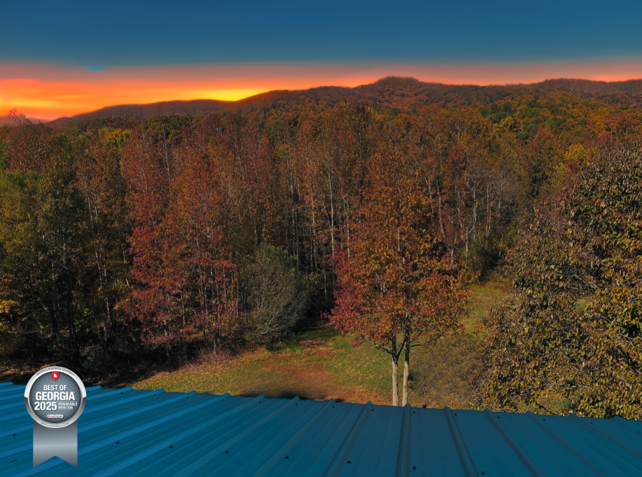 Little Andy Mountain Cabins Voted Best of GA 2025