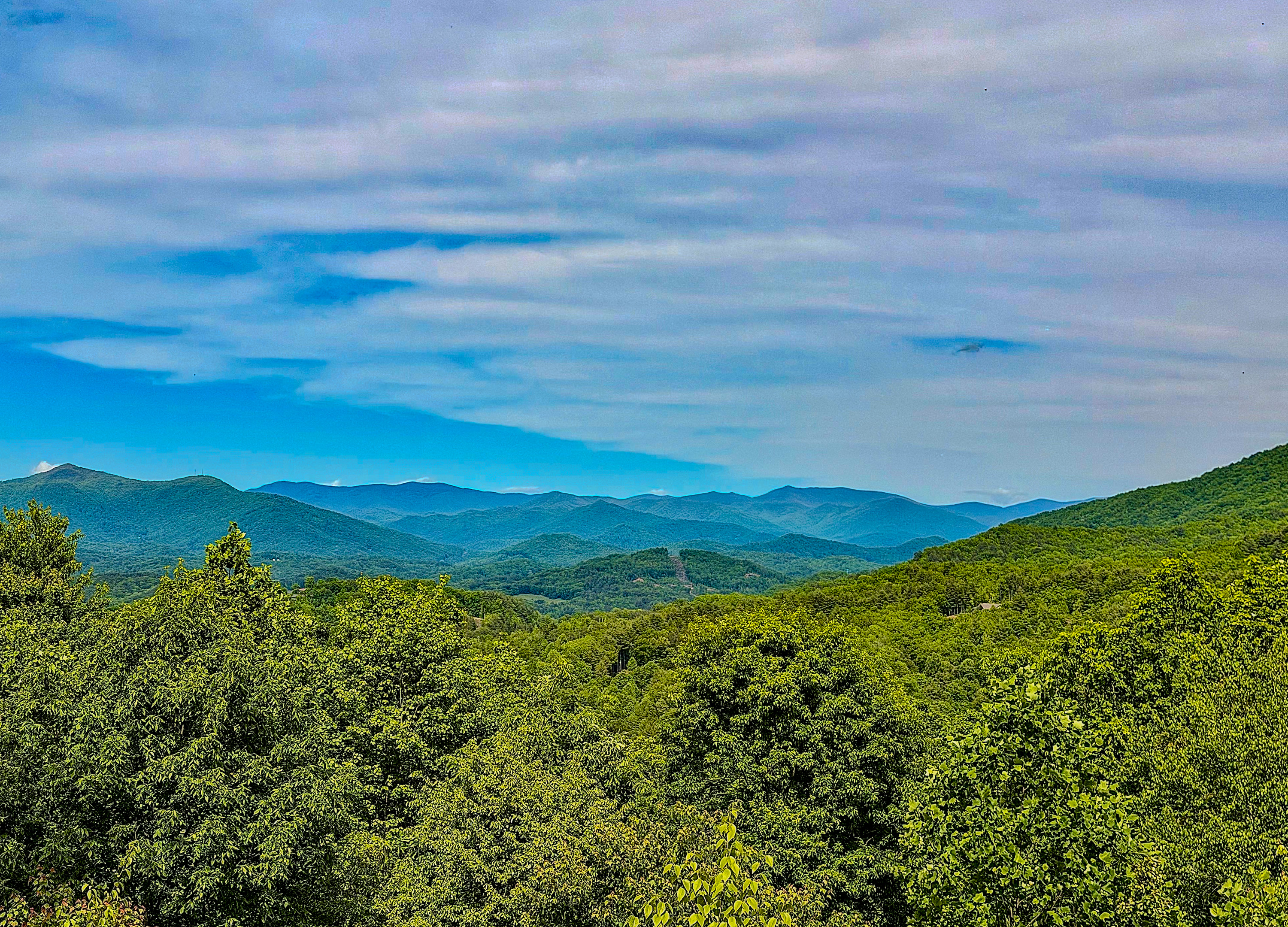 Smoky Mountain life!