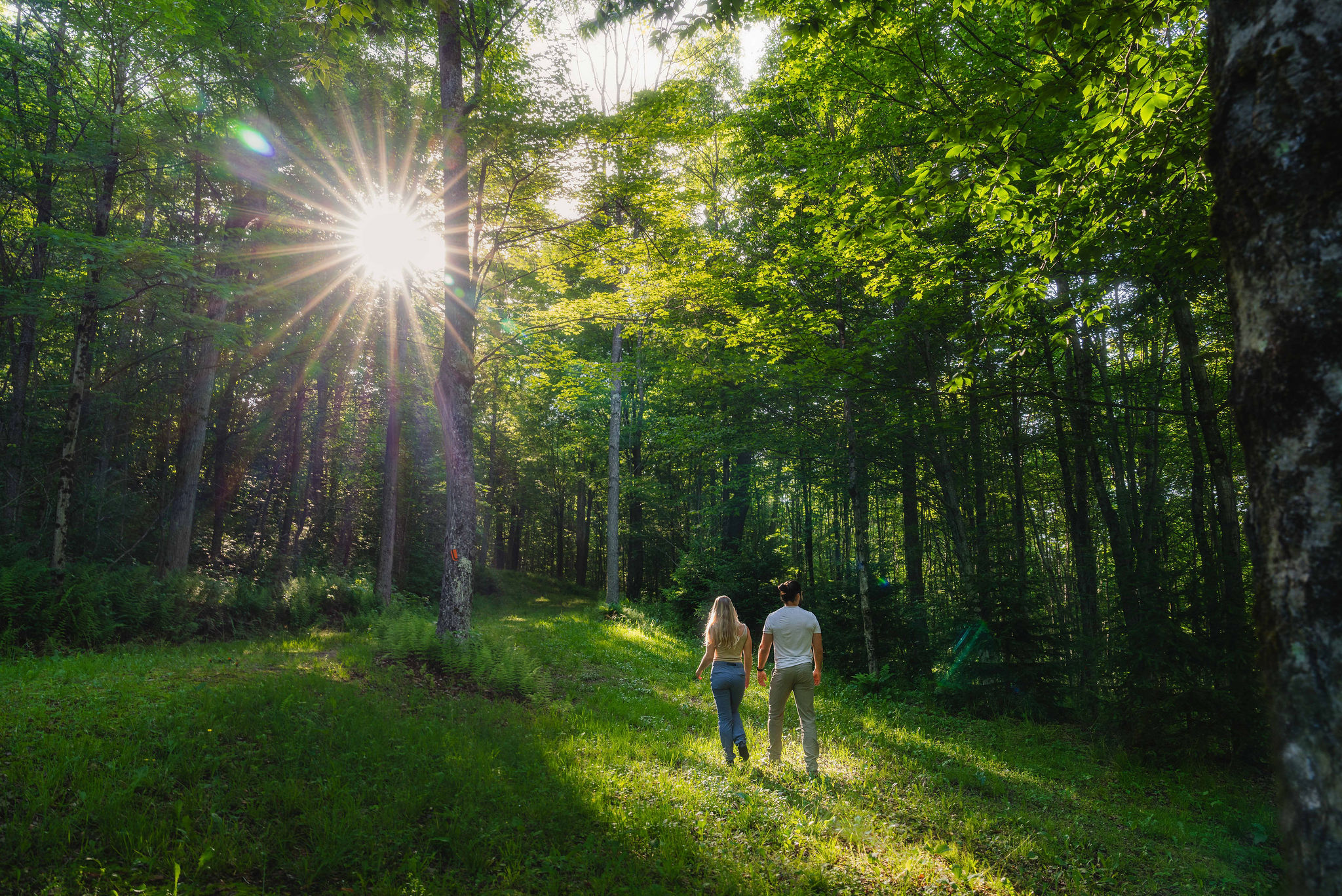 🐾 Bring your dogs — there's room to roam on the private trails.