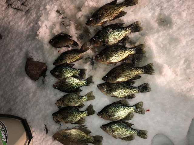 Great Ice Fishing