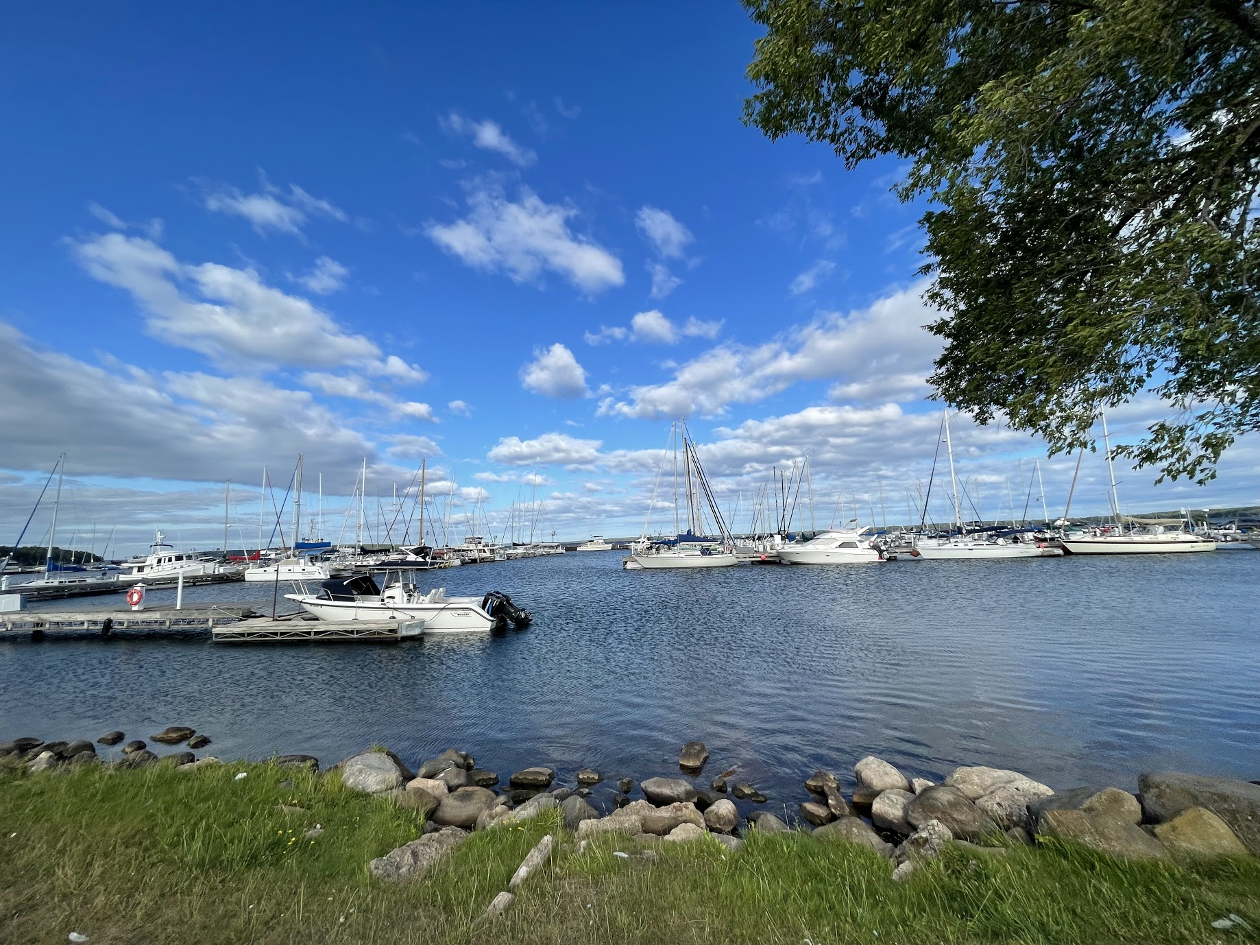 Bayfield Marina in the summer