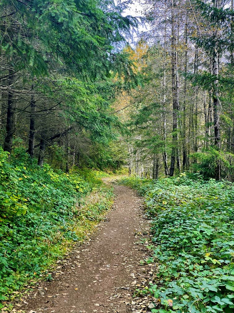 Trail at Walker Valley ORV Park for off-road riding.