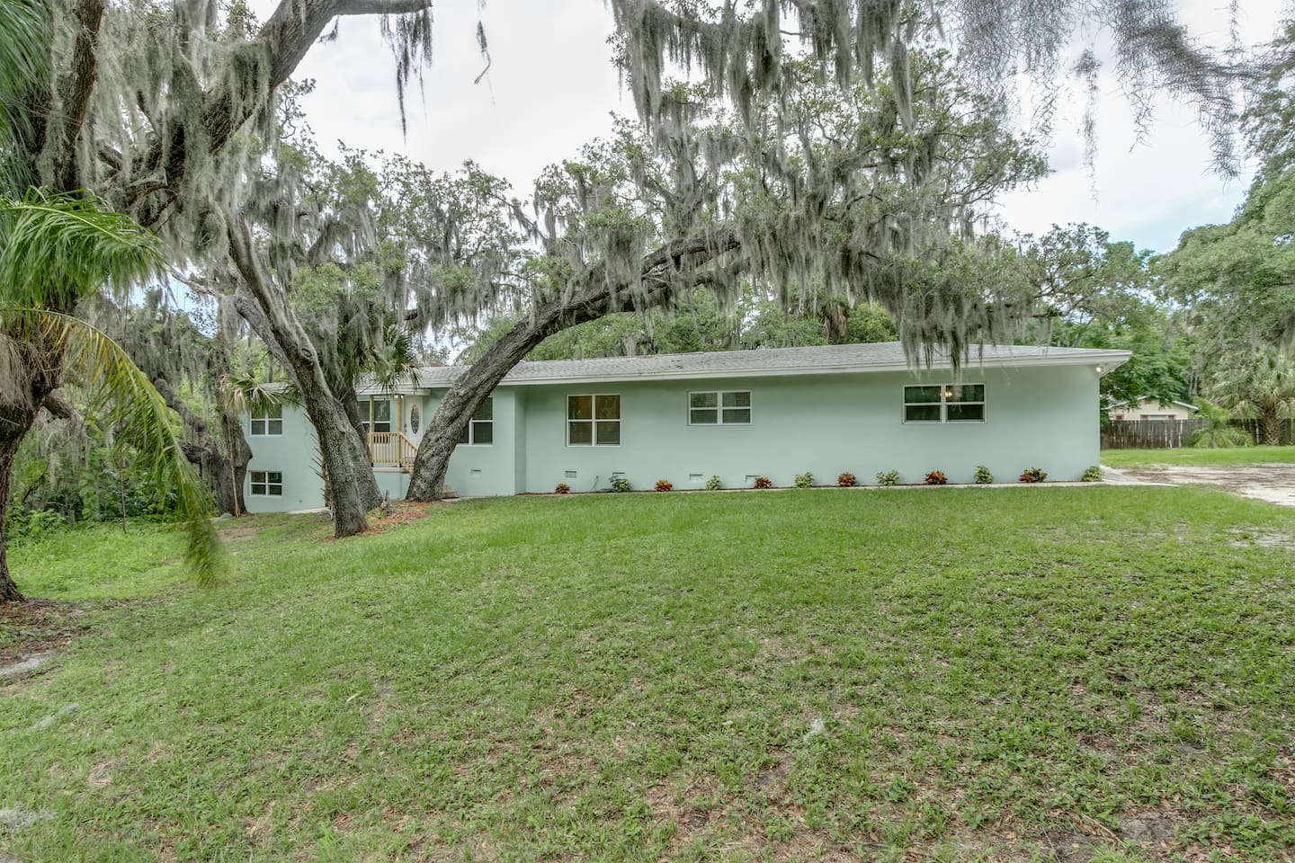 Front Yard with Old Oaks