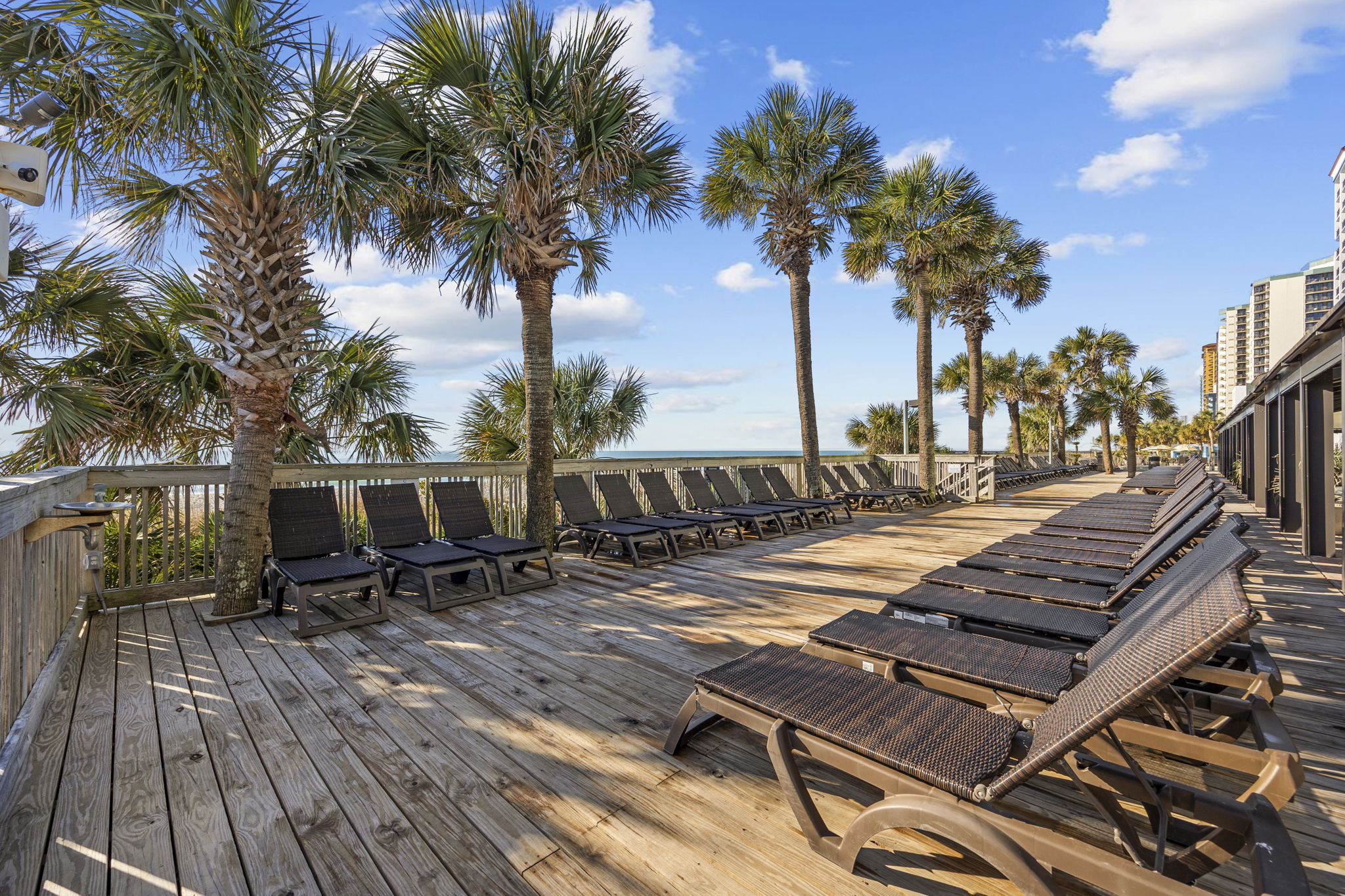 Sun Loungers 