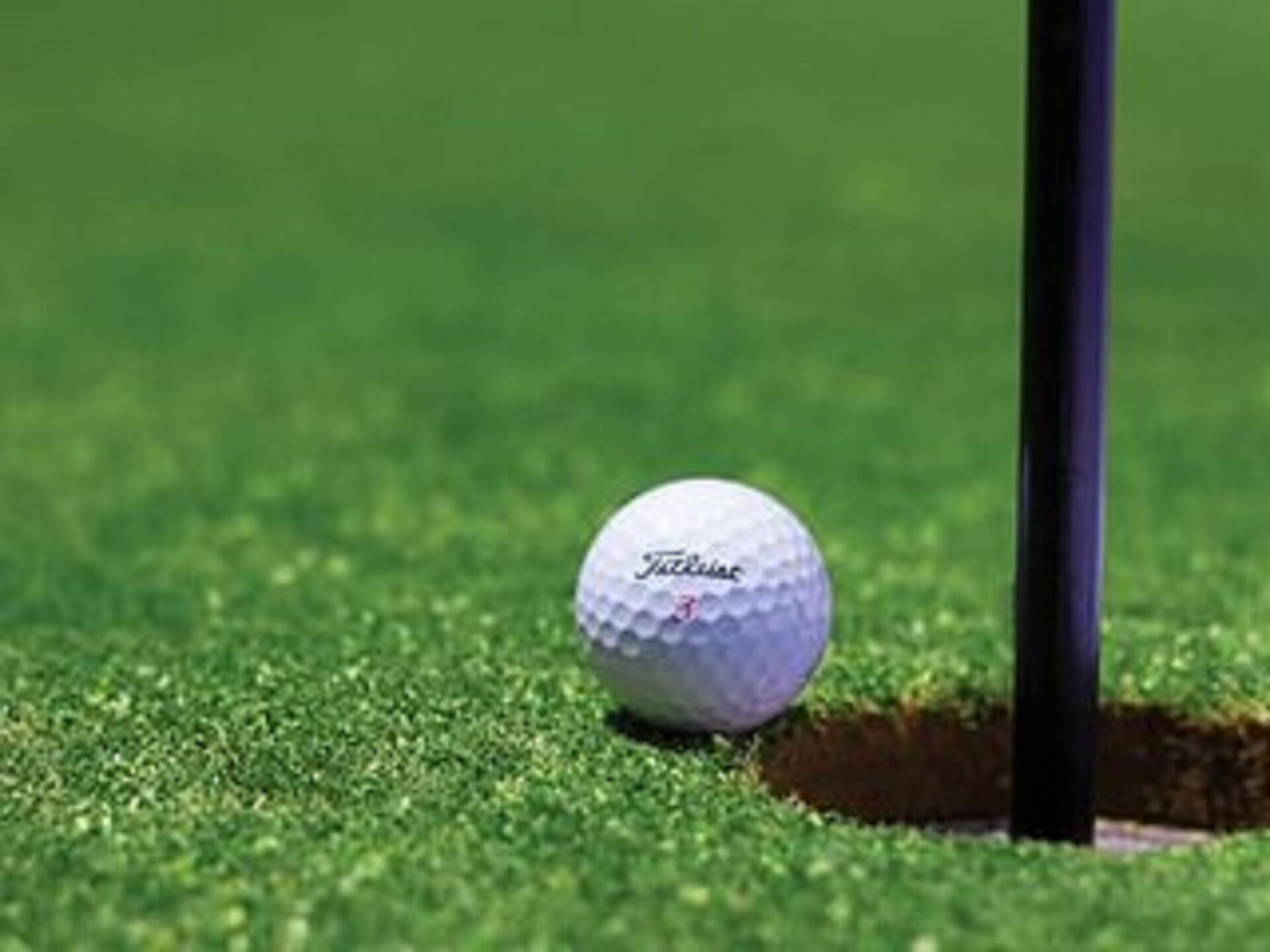 Nearby golf courses and PGA award winning course nearby!