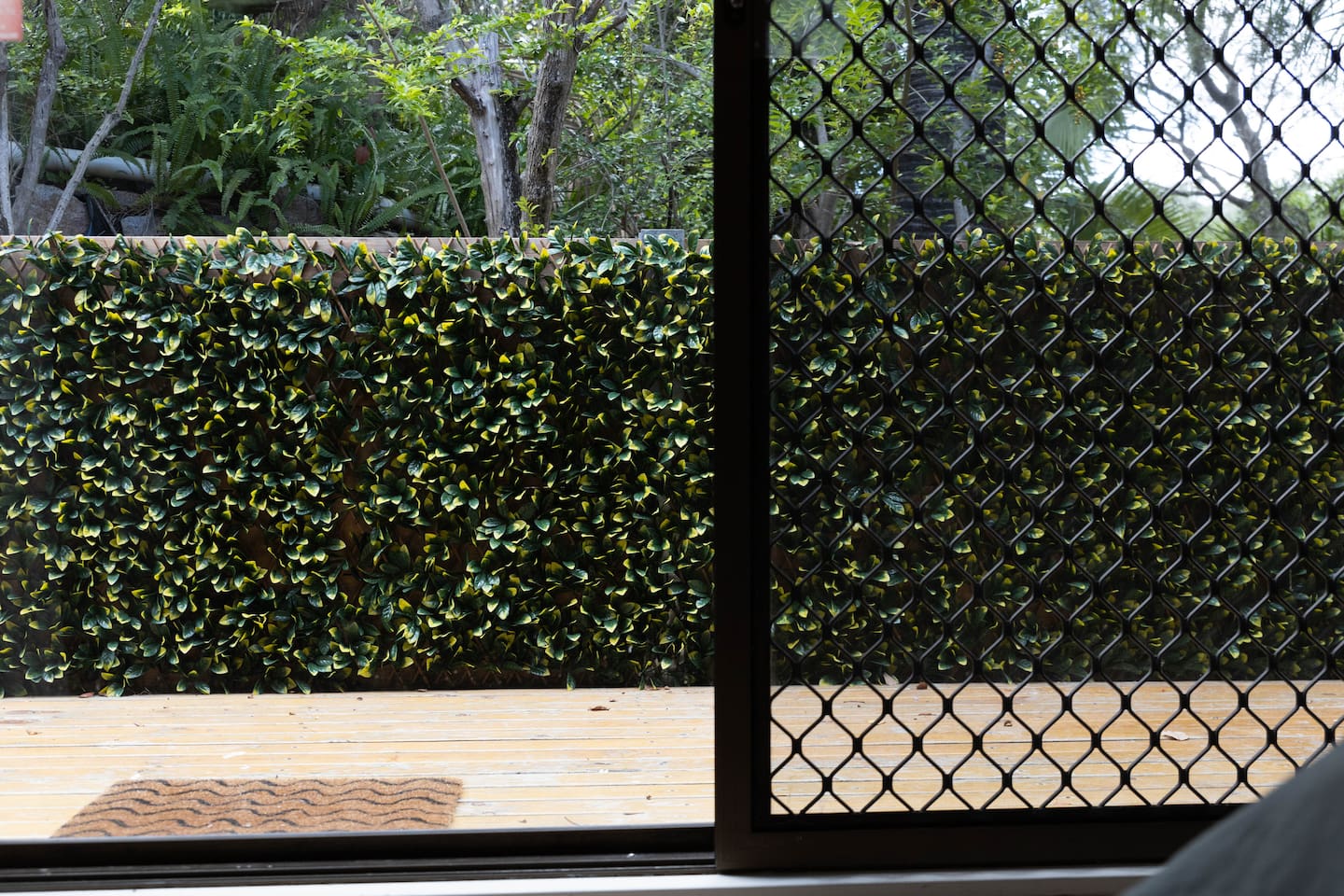 Back patio