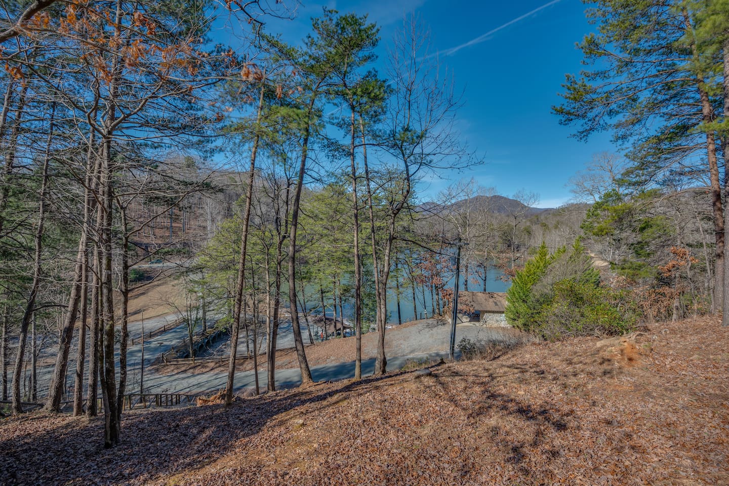 Large back yard with open flat area great for pups! Also steps down to the lake.