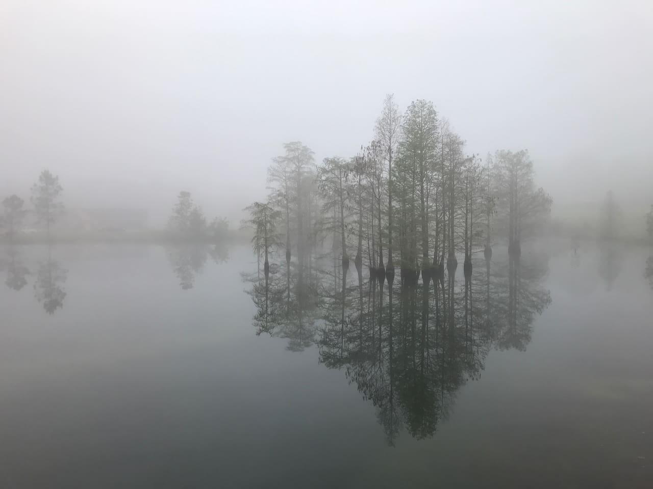 The occasional morning fog