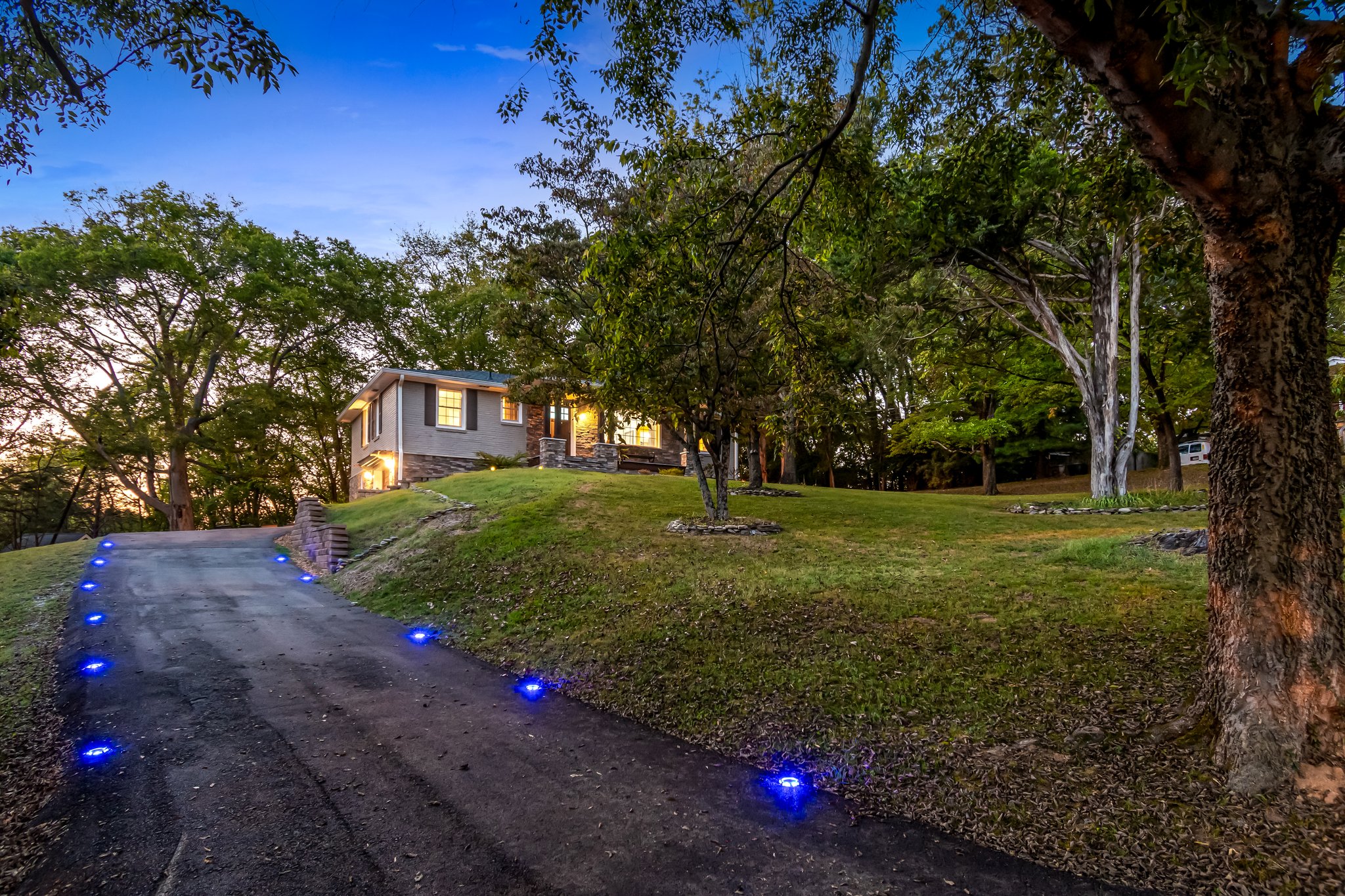 Driveway and Front Yard