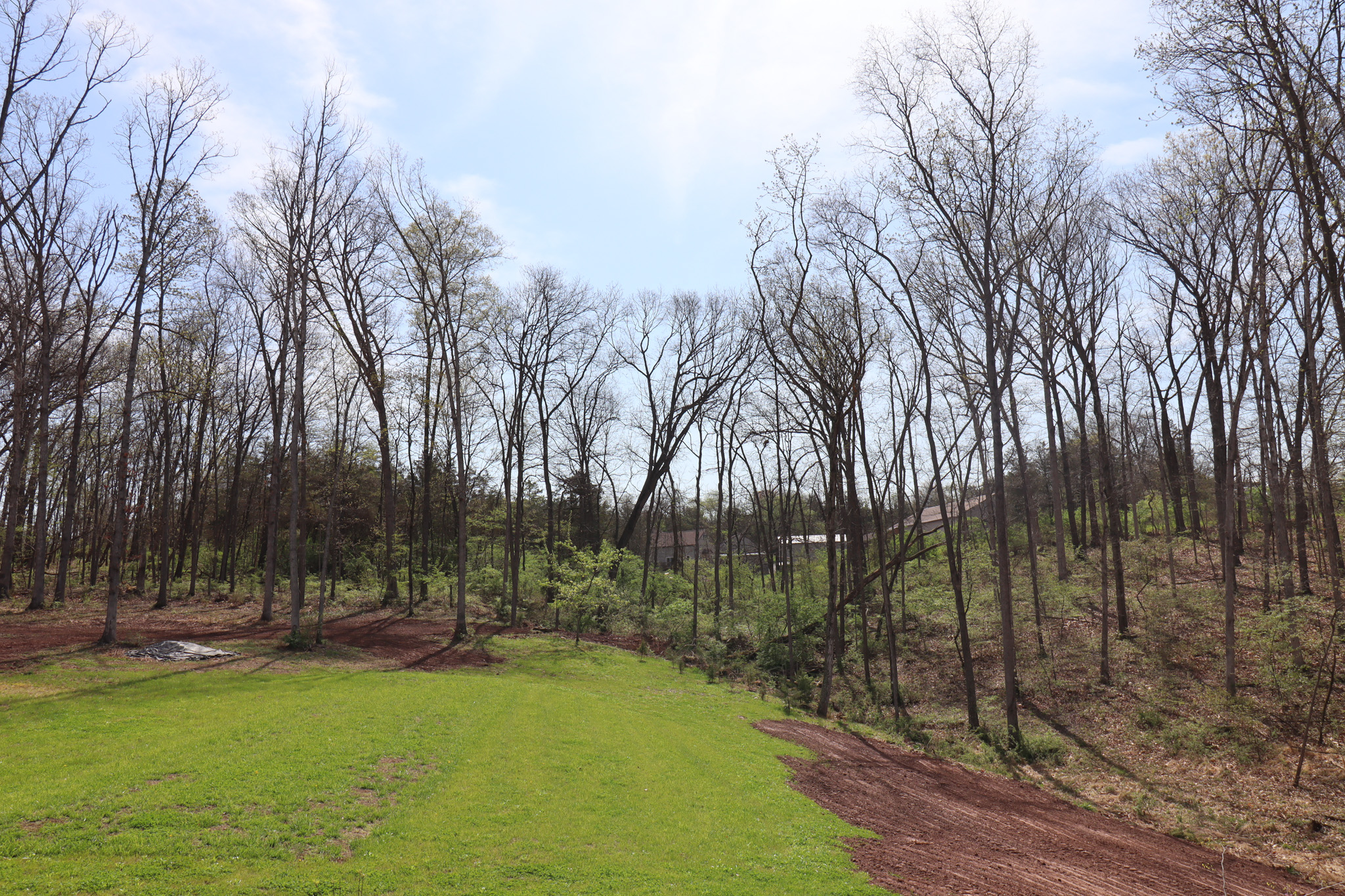 Deer are frequent visitors—don’t be surprised to see them right in the yard.