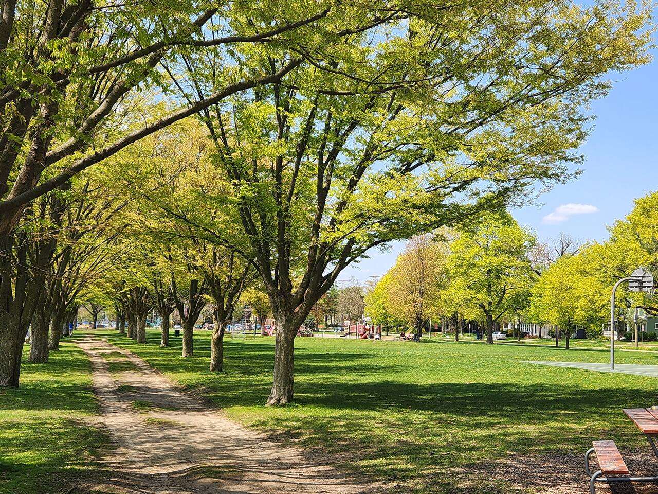 Burns Park (2.5 blocks away)