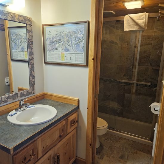 Bathroom area