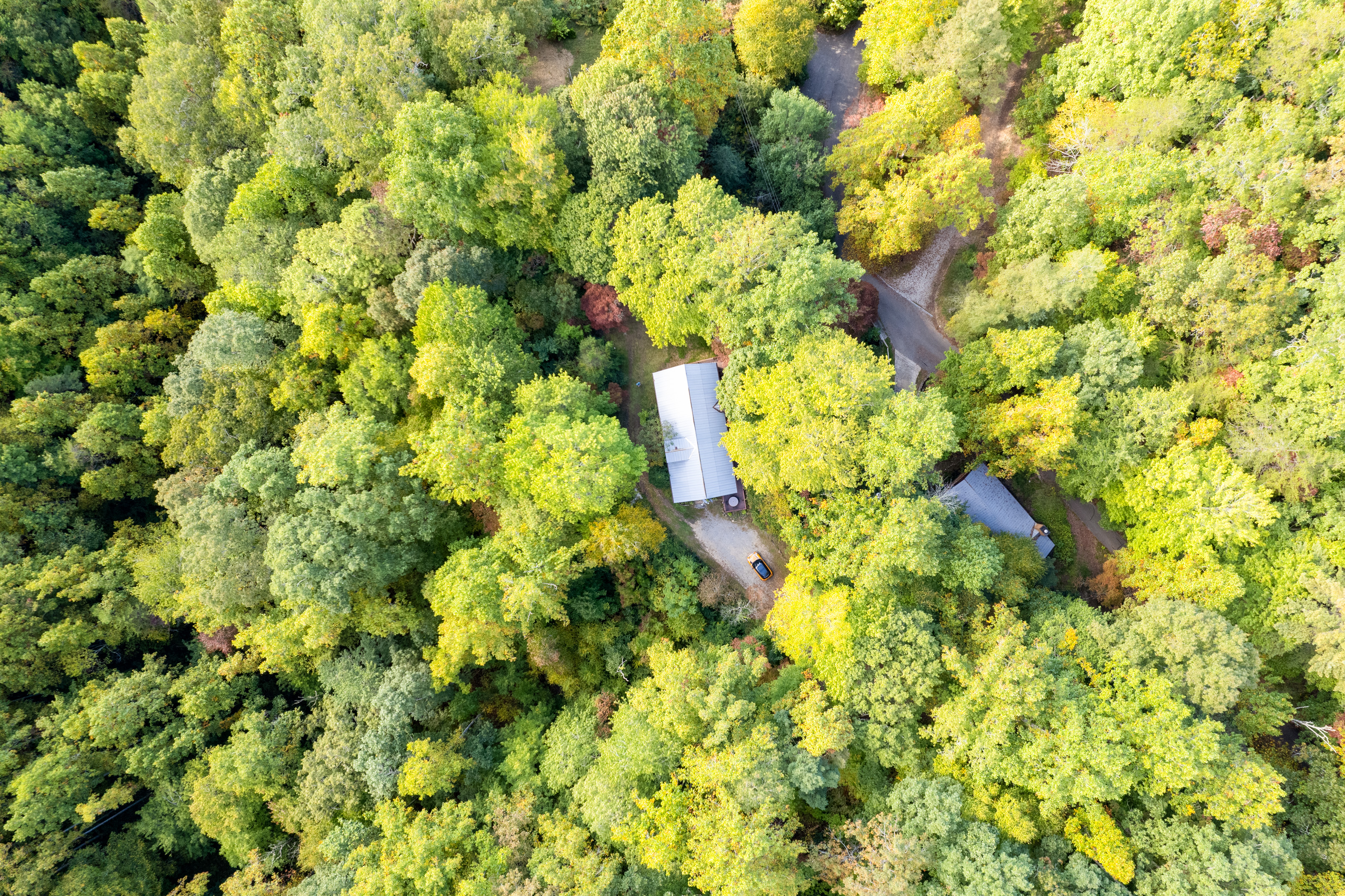 A Mountain Retreat in the woods!