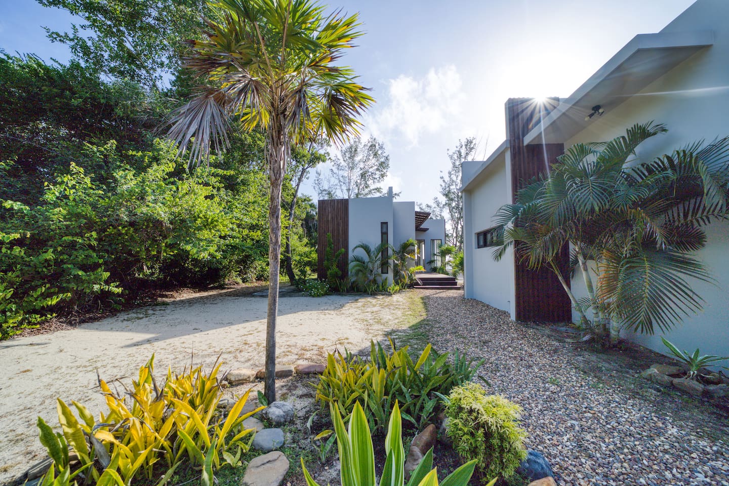 View from driveway and private parking