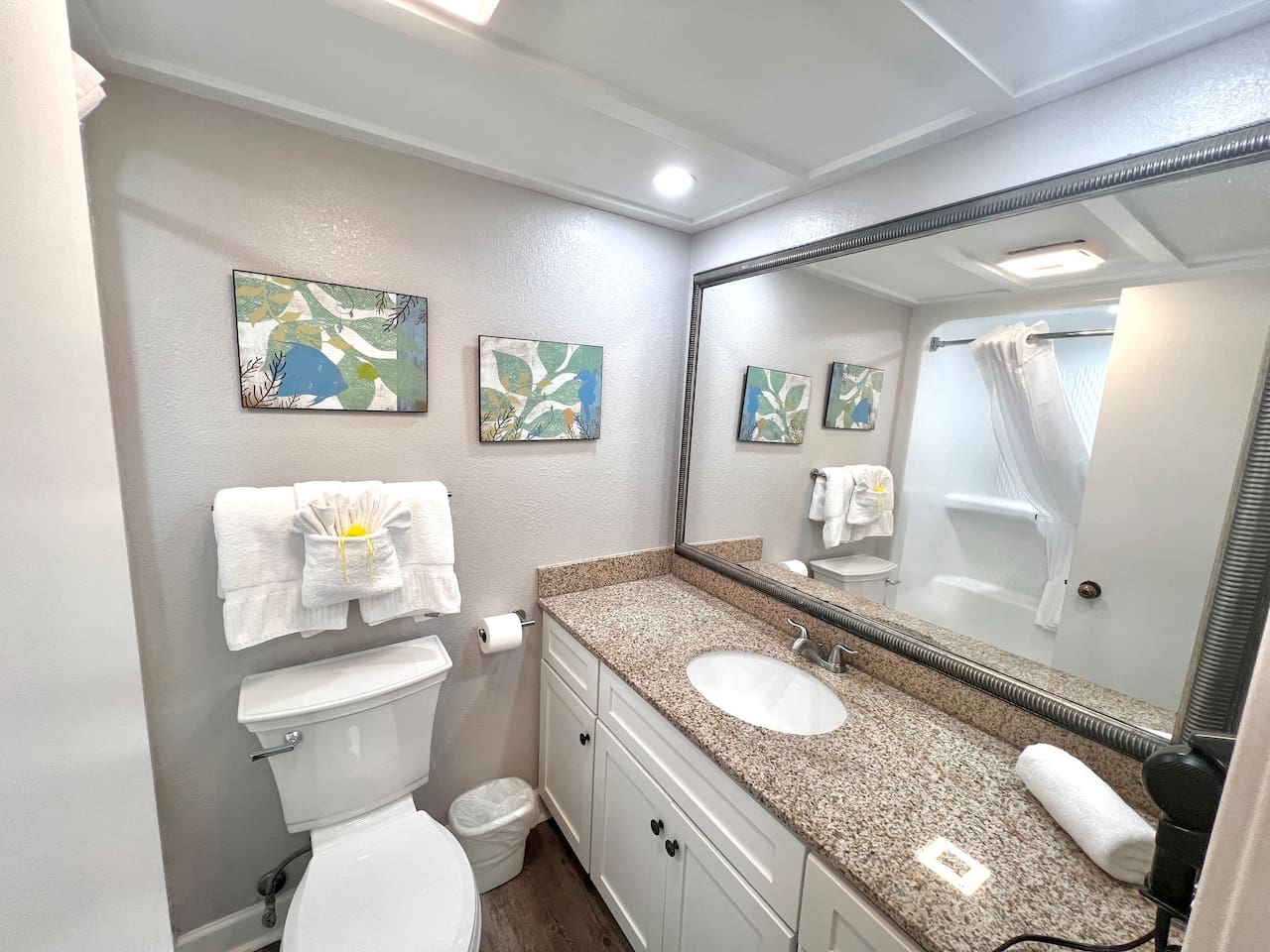 Guest Bathroom 