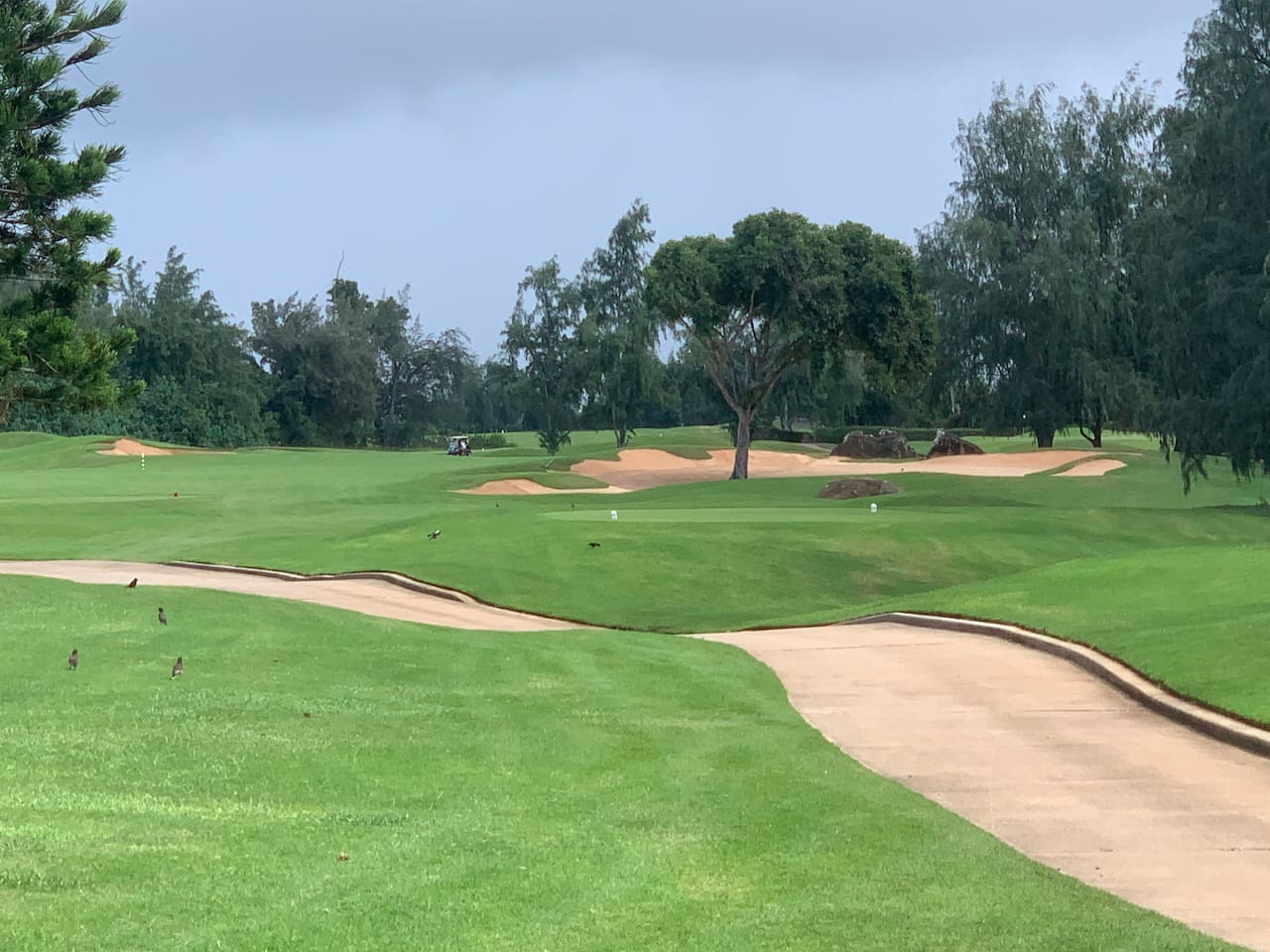 Turtle Bay golf course. 10 minutes from the condo.