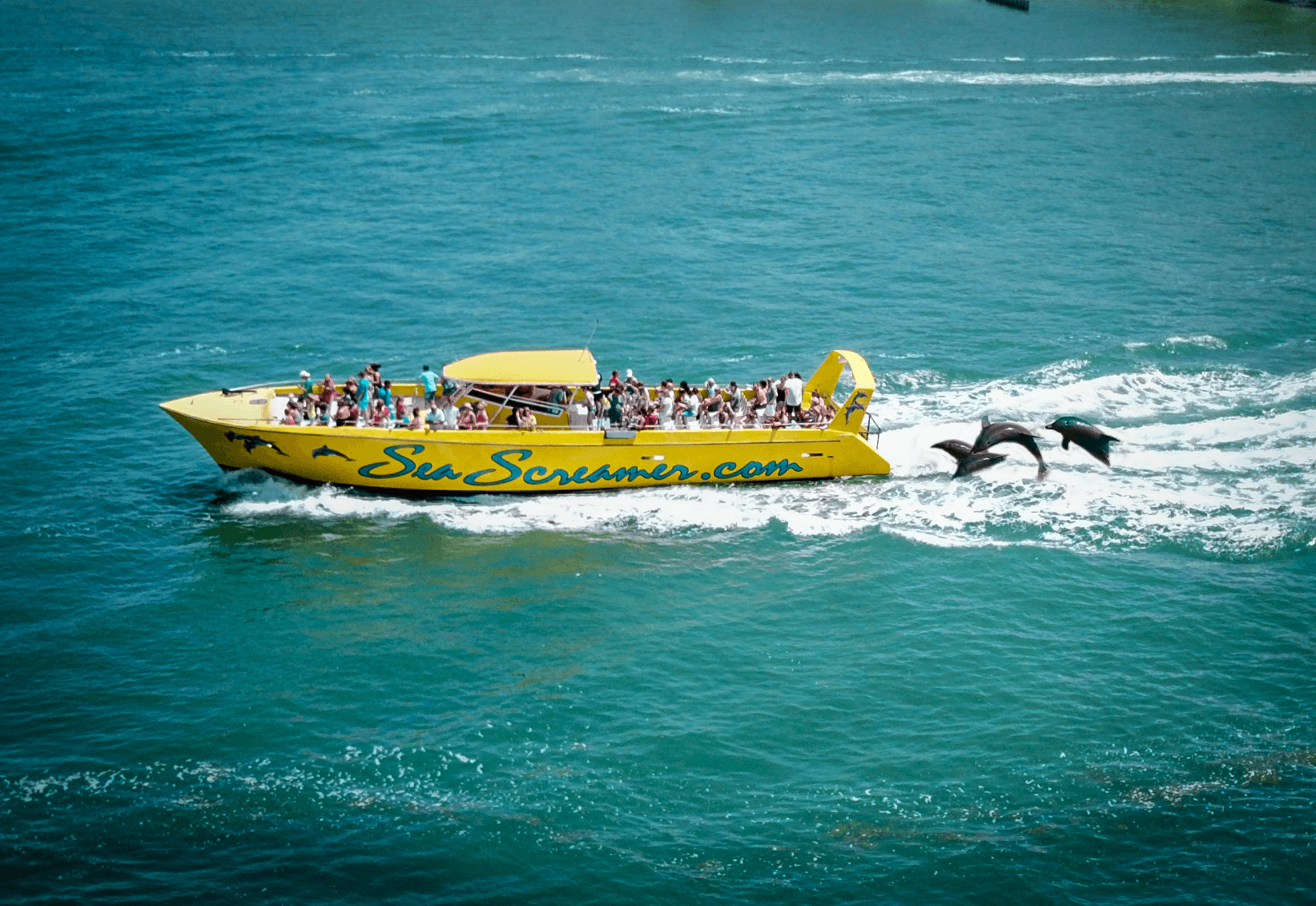 Sea Screamer cruises. Local-area attraction or activity; off-property and not included with your stay.