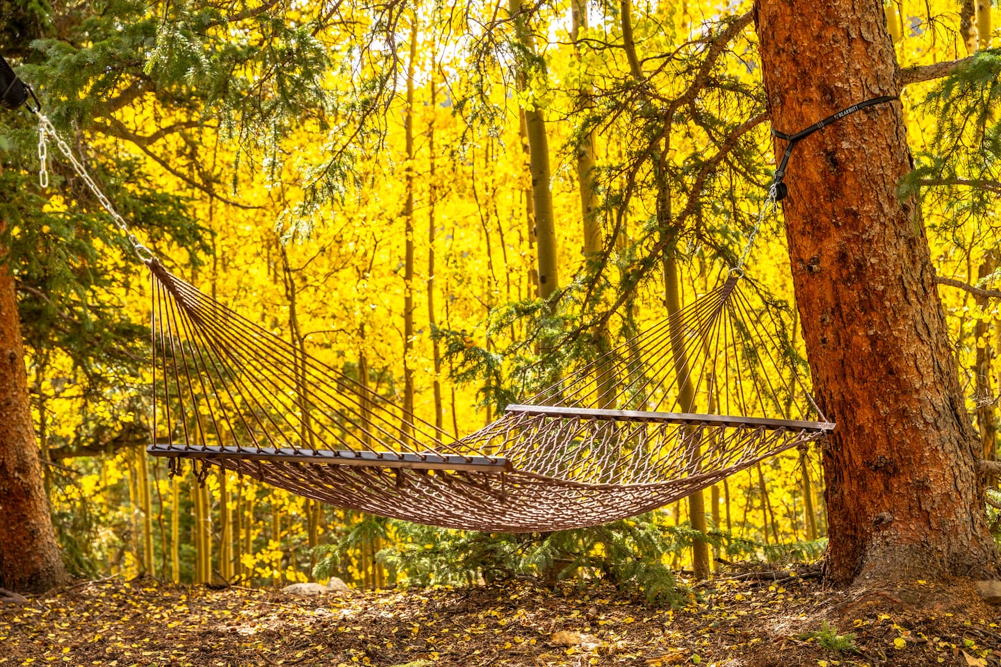 Outdoor Space