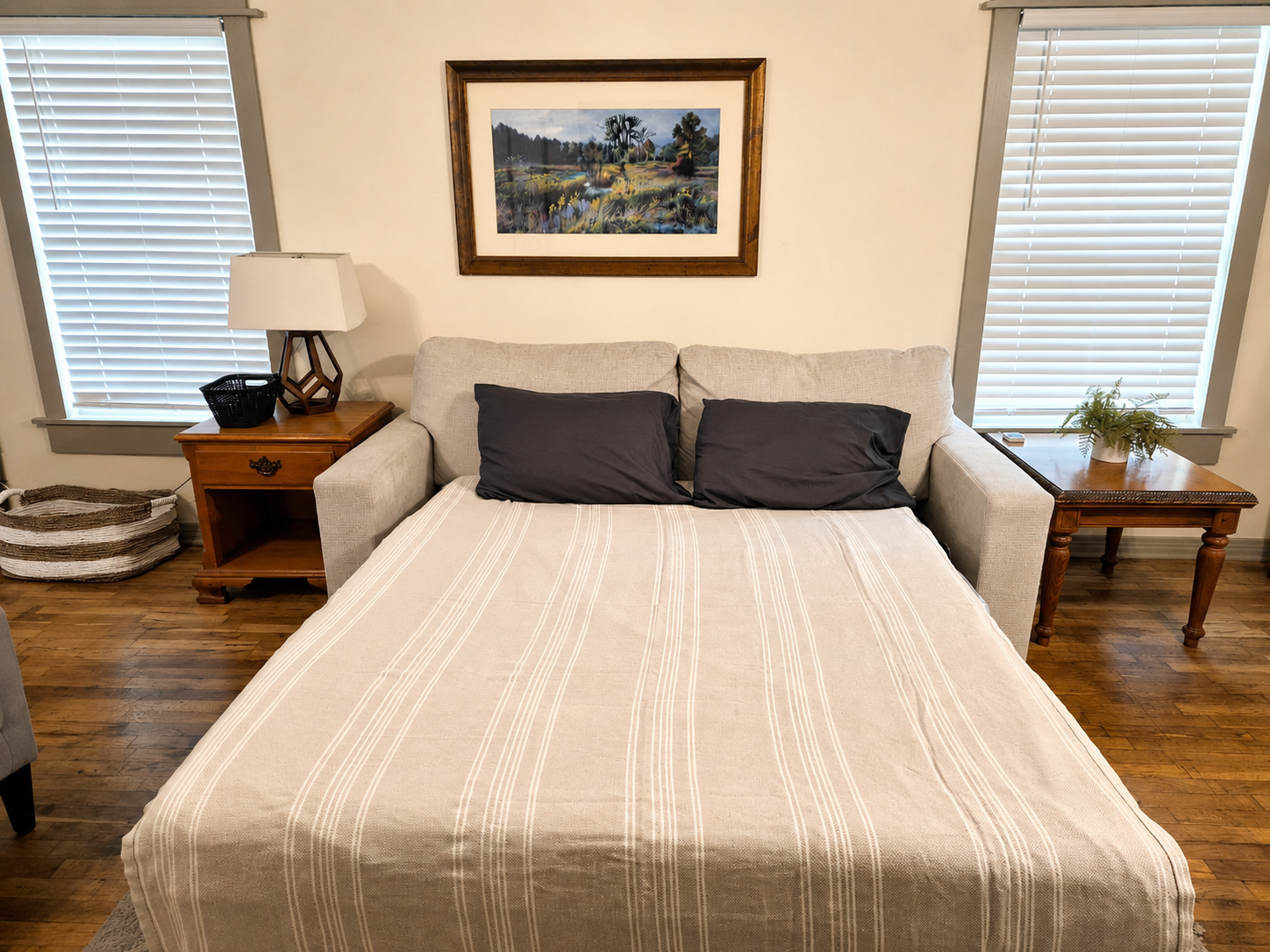 Living room couch folds out to queen bed