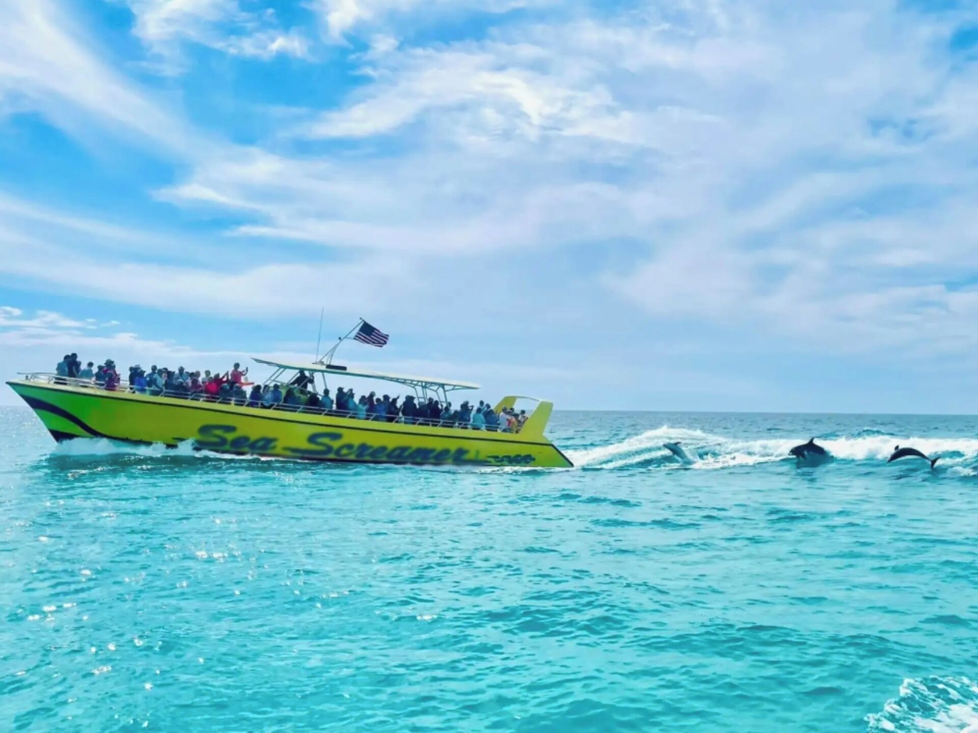 Sea Screamer dolphin tour