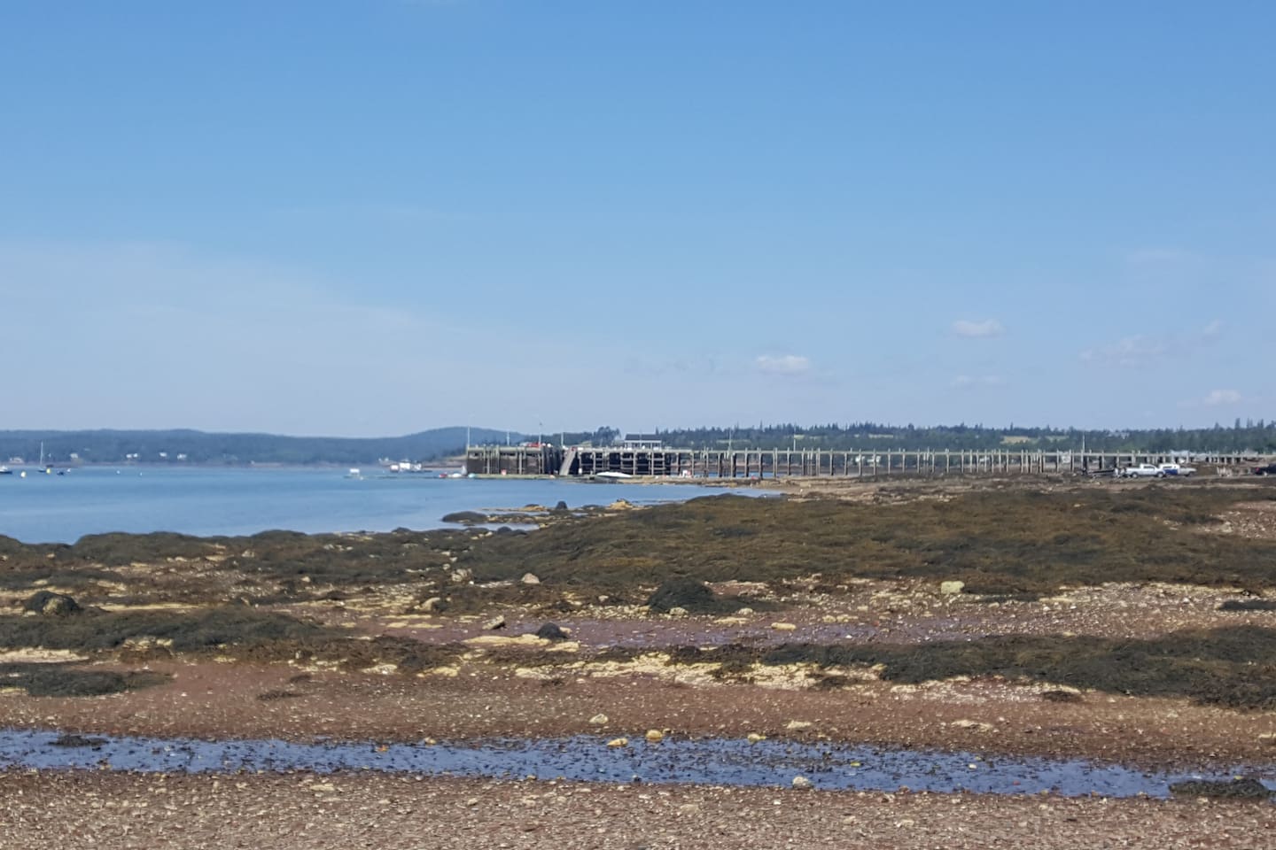 Beach view