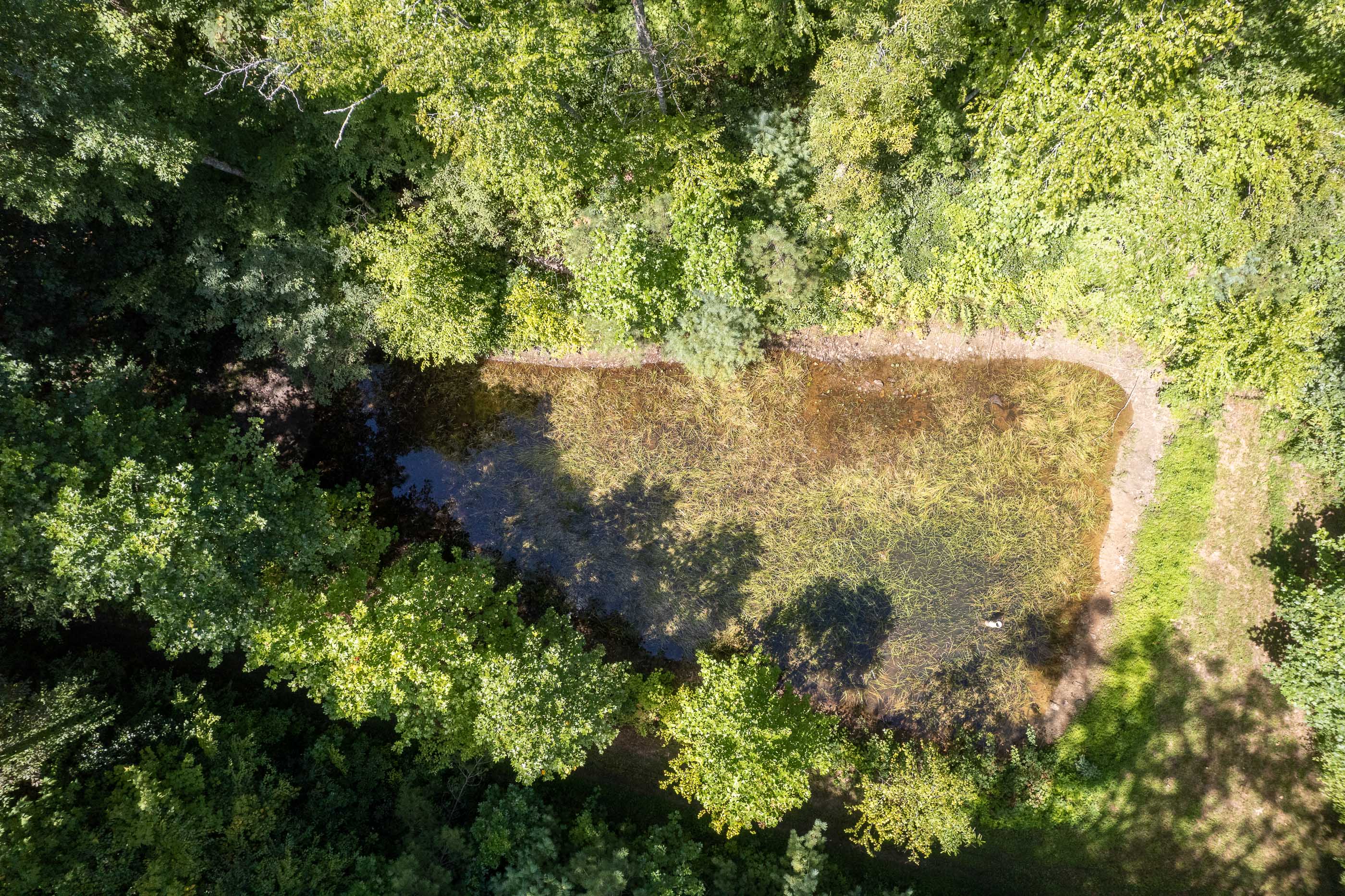 A hidden pond just steps away, where still waters reflect the beauty of the mountains.