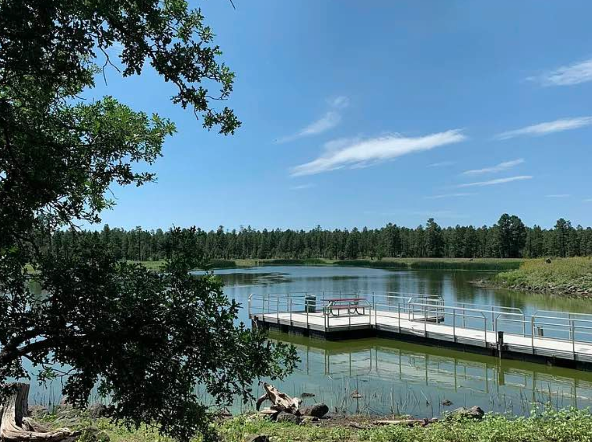 Woodland Lake offers fishing, water activities, hiking trails, mountain views, and dog-friendly paths. Nature's playground with authentic White Mountains beauty is steps from your door year-round.