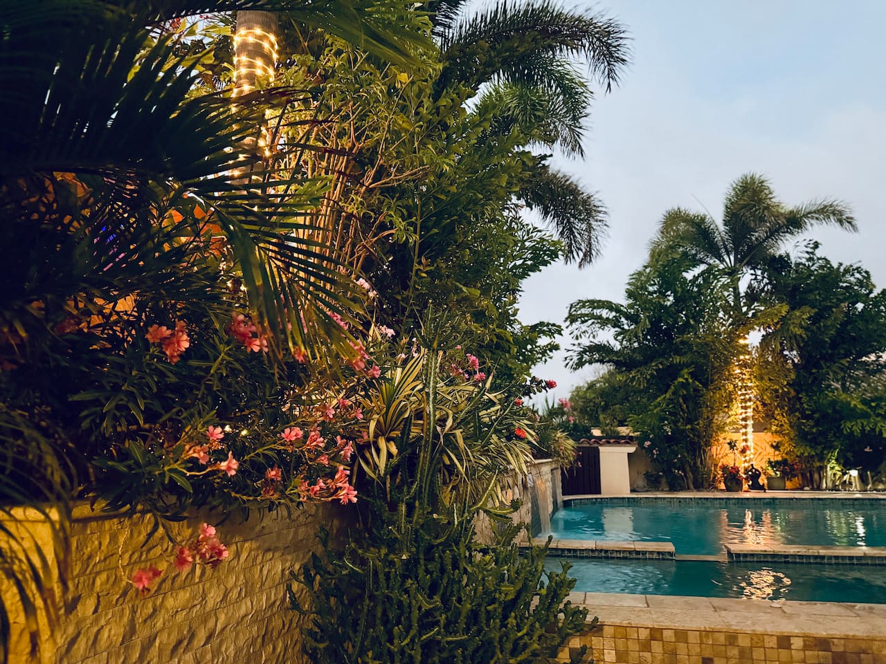 Gorgeous poolside tropical landscaping