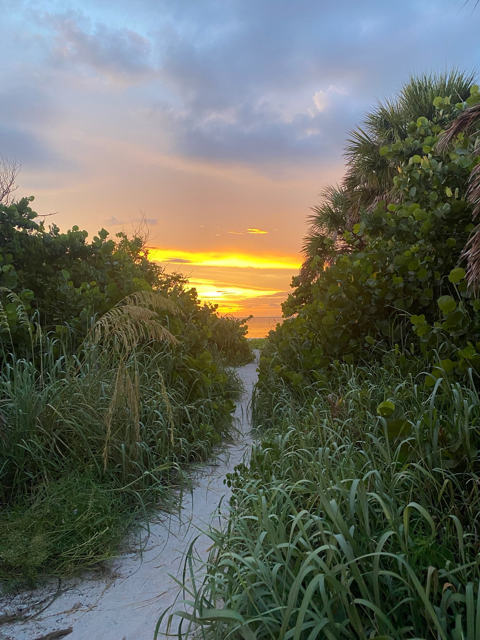 A quick, beautiful path from your parked cart to the beach