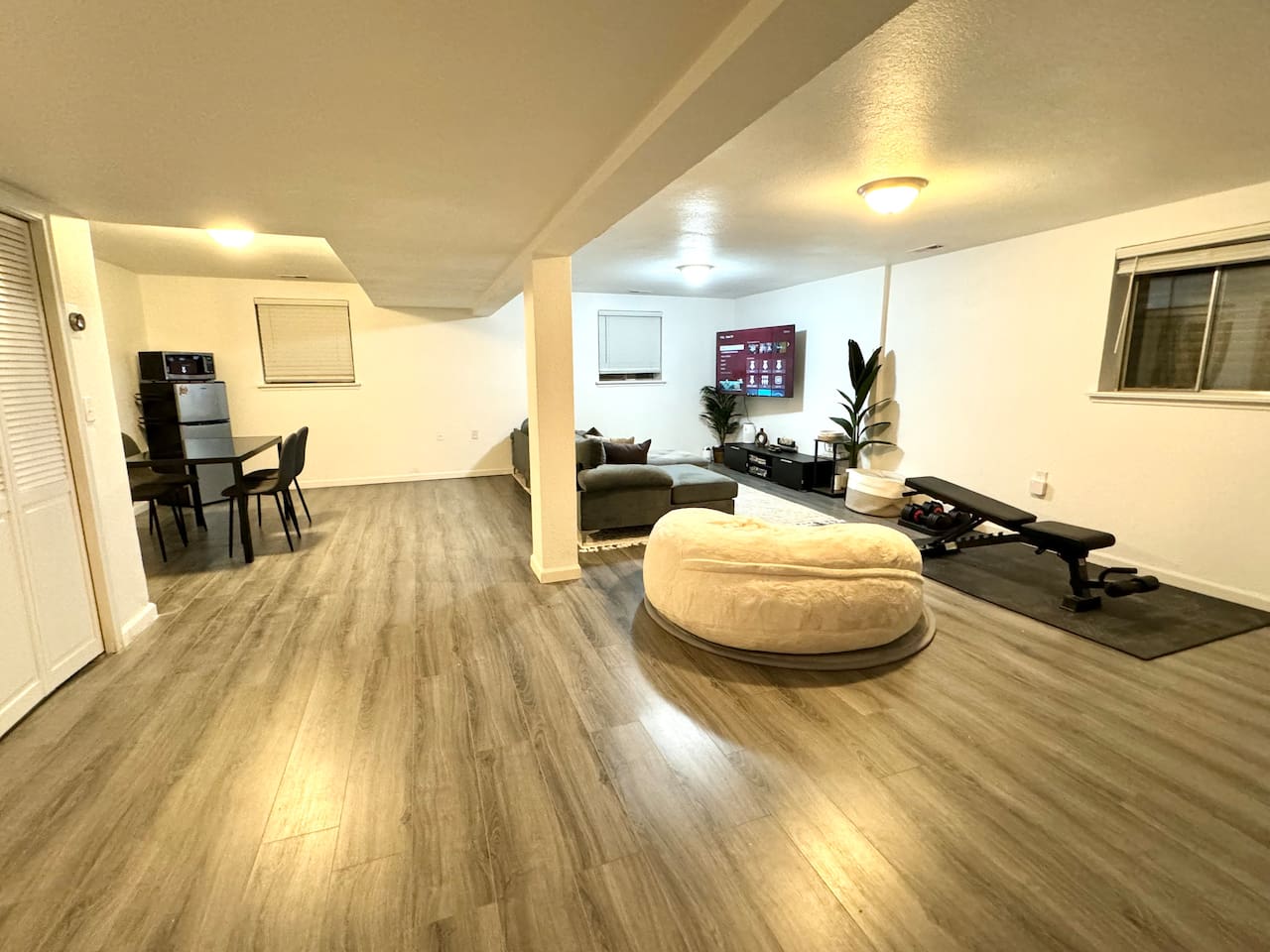 Basement Living Area