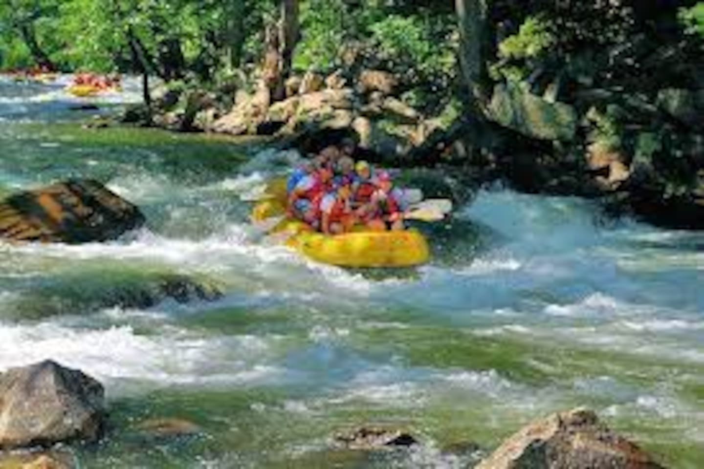 White Water Rafting: Book your trip