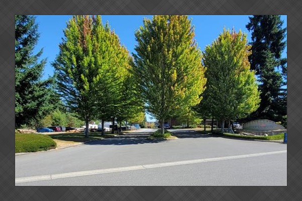 Sunrise Ridge Resort. You have arrived.