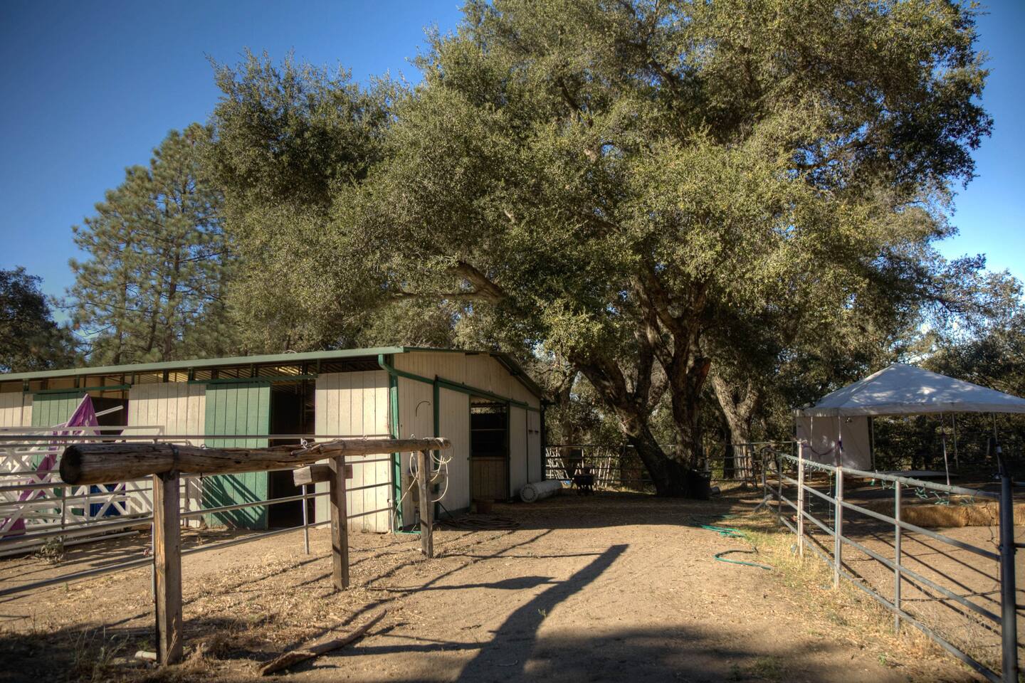 Corral