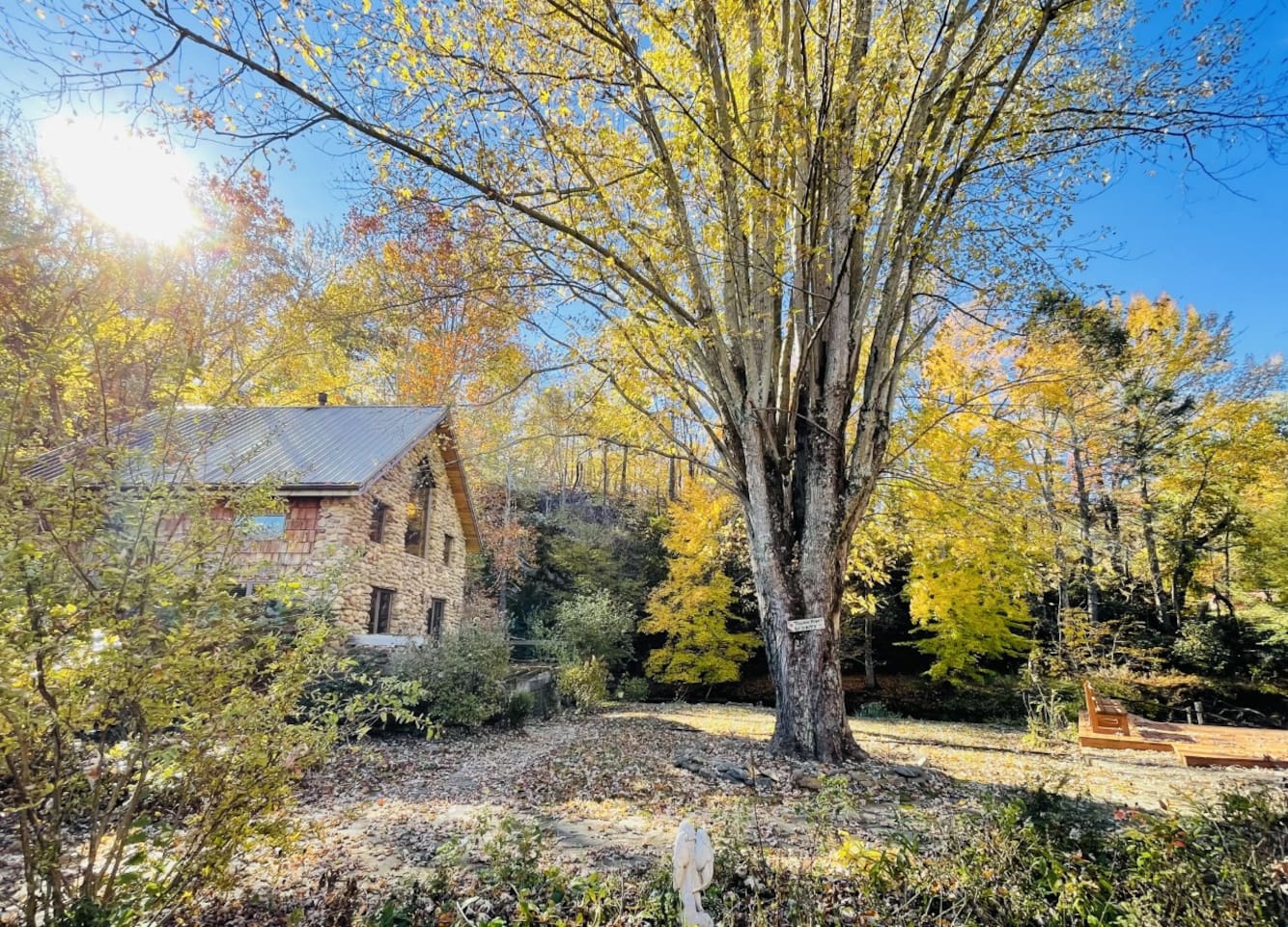 Glorious fall in the mountains