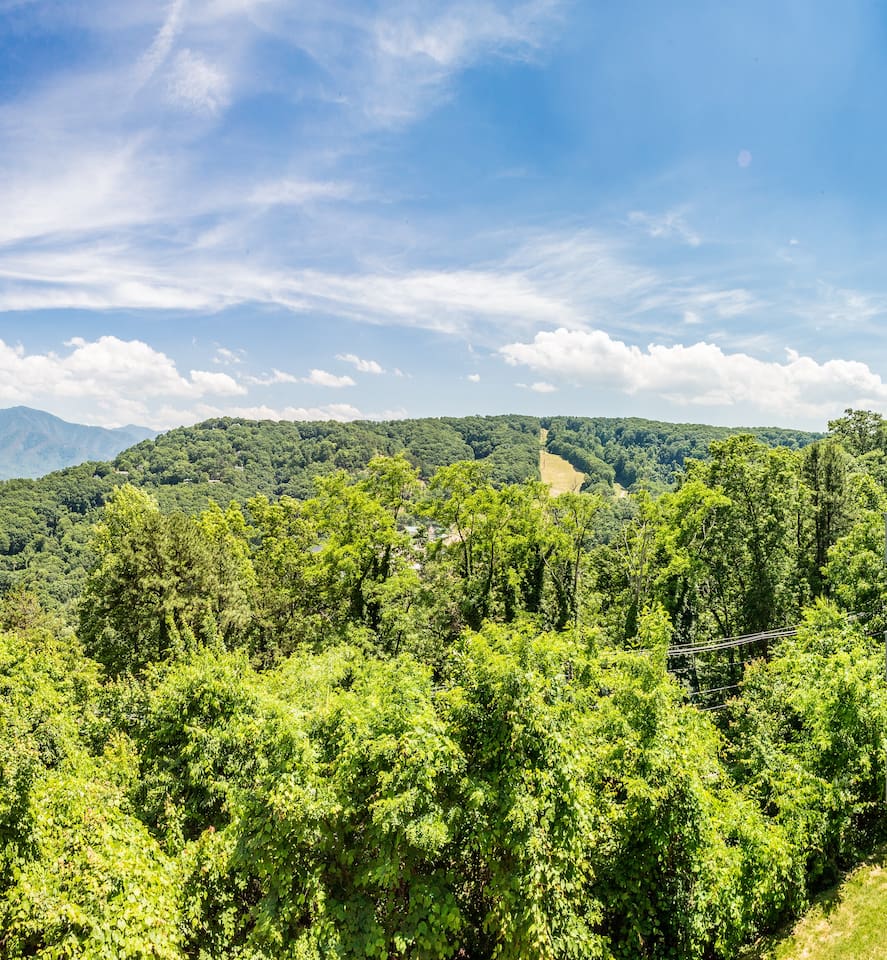 View 8