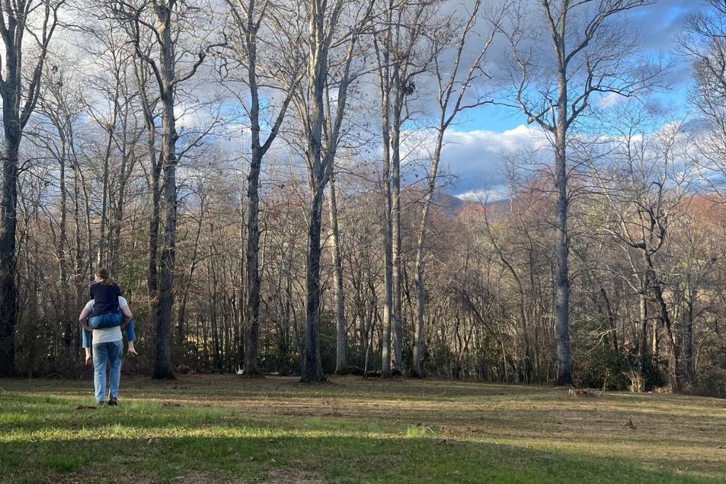 Wide open spaces at Twin Oaks Lodge — perfect for a romantic hike to the creek, kids to explore, games in the yard, or simply soaking in the mountain air beneath the oaks.