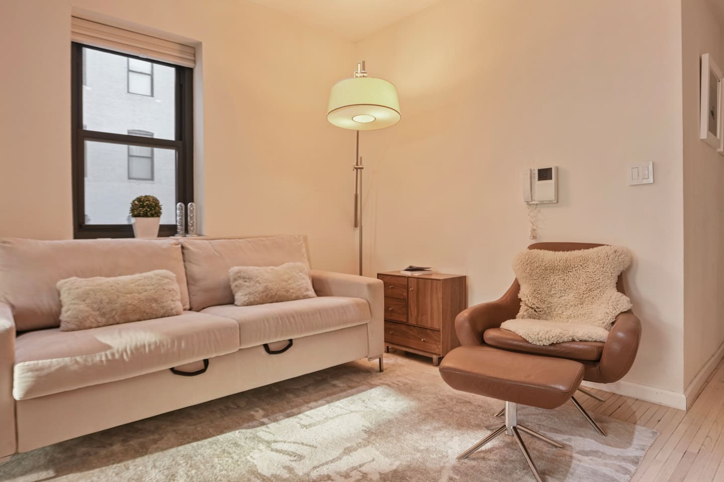 Living Room - Sofa Bed