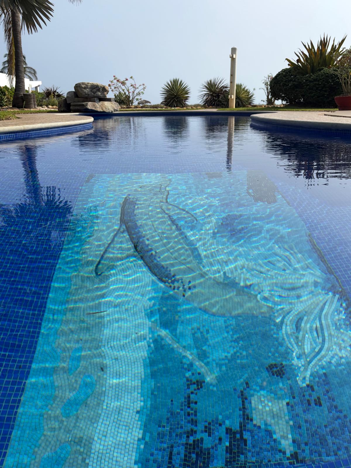 Private Pool