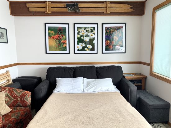 Sleeper sofa: Full-size bed.