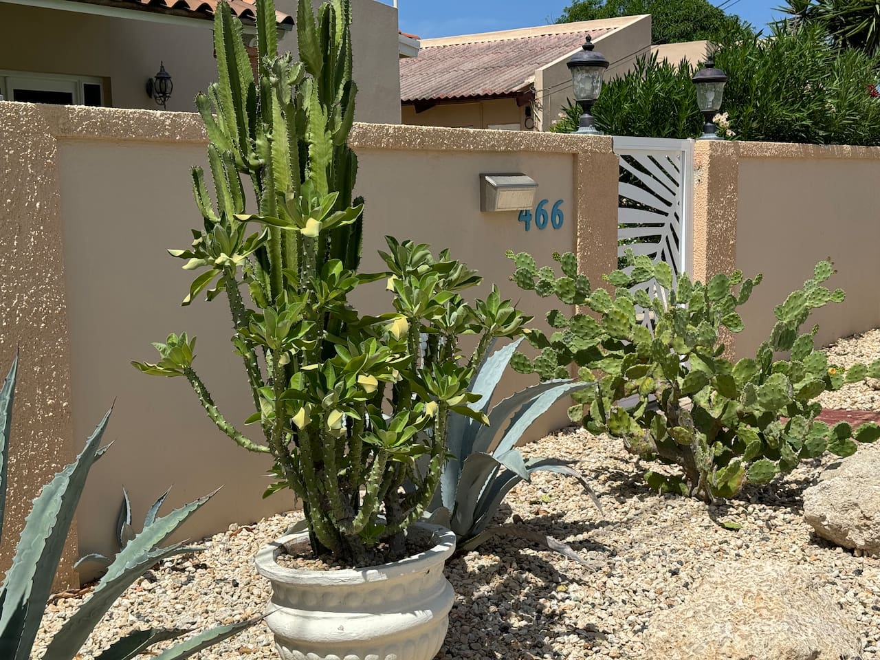 Private gated front yard with on street parking.