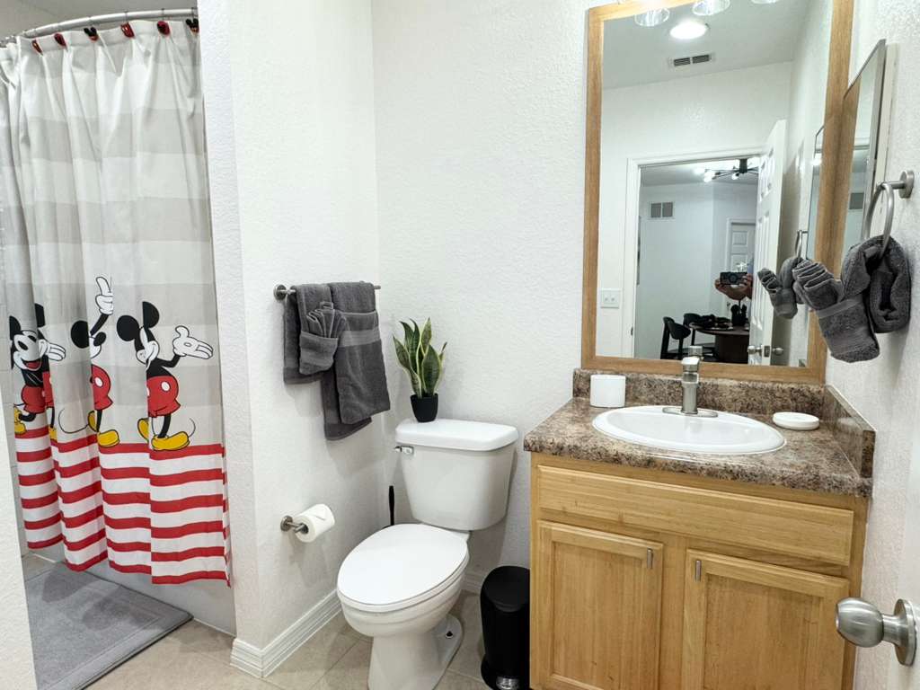 Mickey Bathroom