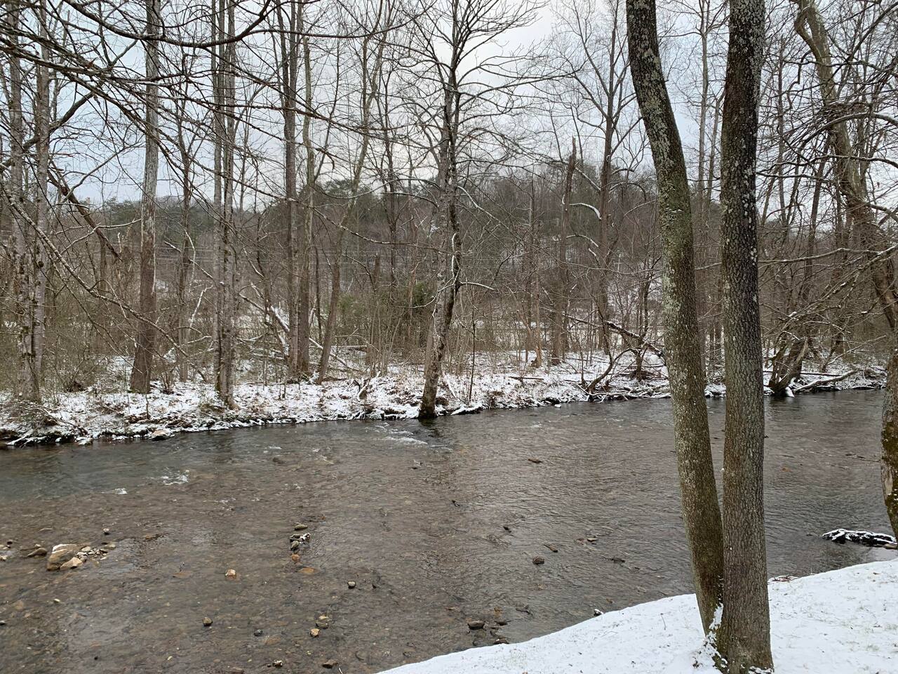 Creek view in winter