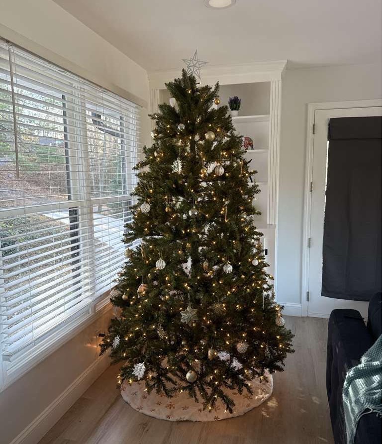 Our Christmas tree is up!  Come celebrate the holidays with us!