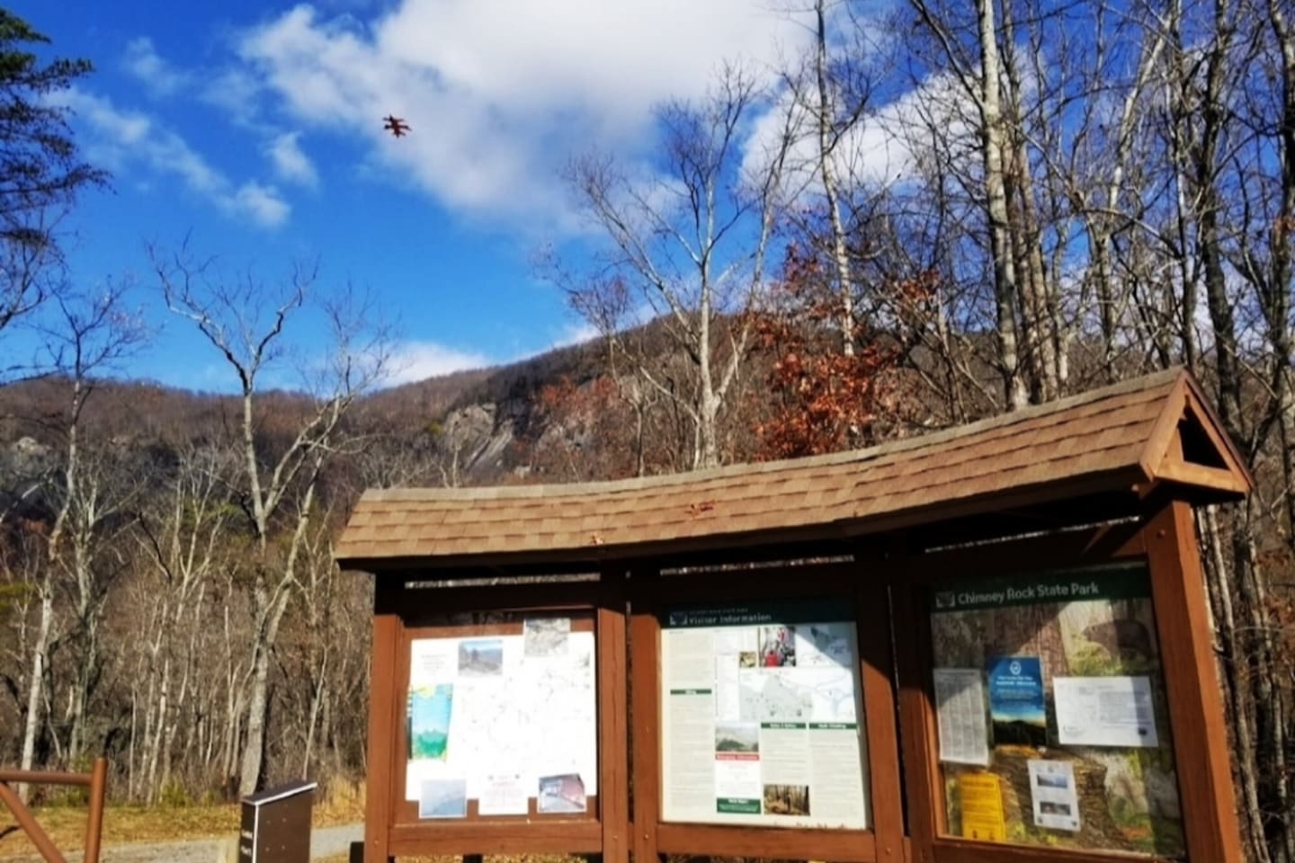 Many hiking trails minutes from the cabin including Party Rock and Rumbling Bald trails