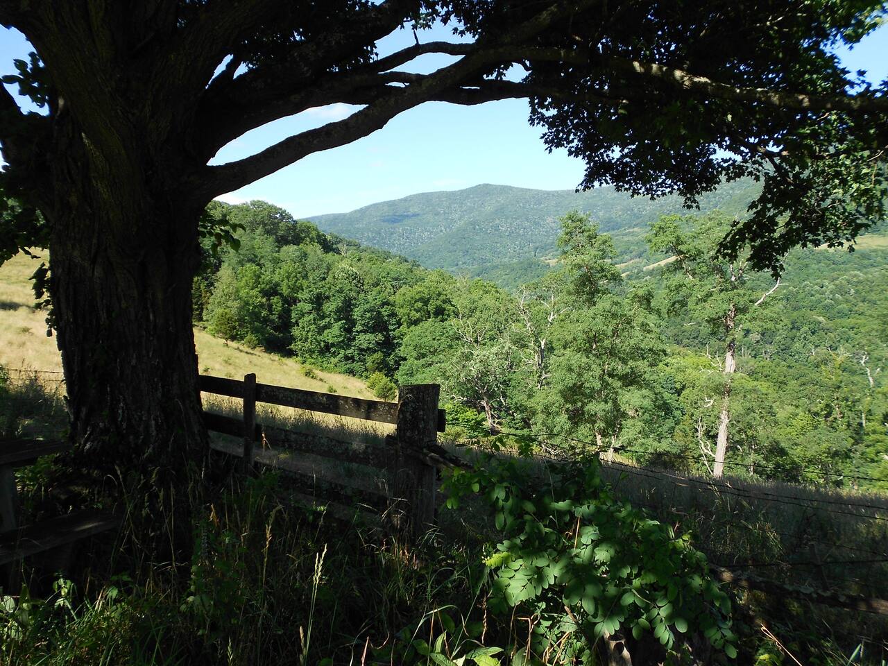 An amazing view from the walking path