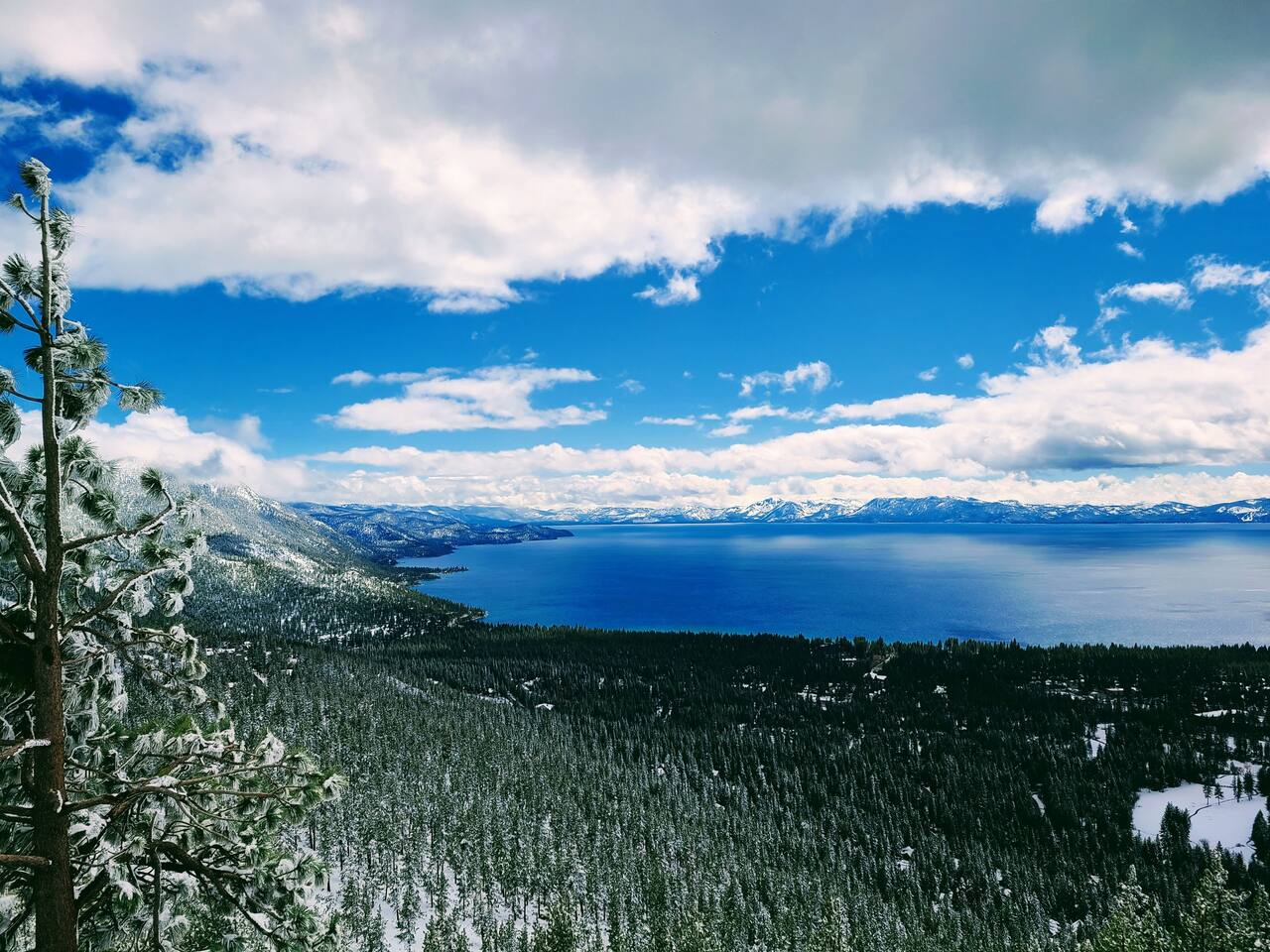 All of Incline Village is below--keeping the large pines around the Village is what allows this to be such a spectacular vista, from the main viewpoint along the Mt. Rose Hwy.  The Incline85 cabin is just down among the pines  to the right side.