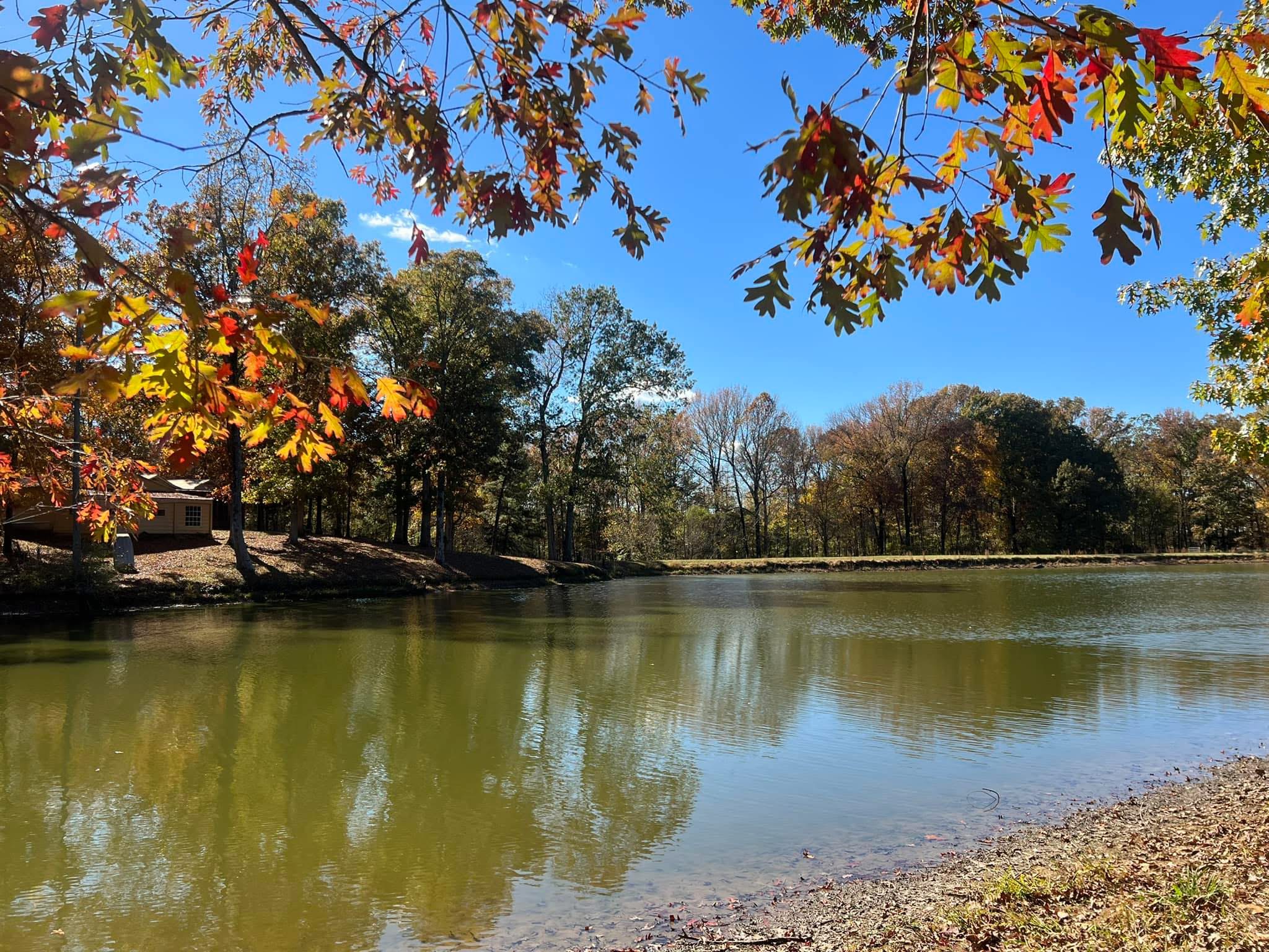 Fall is here and the leaves are changing!
