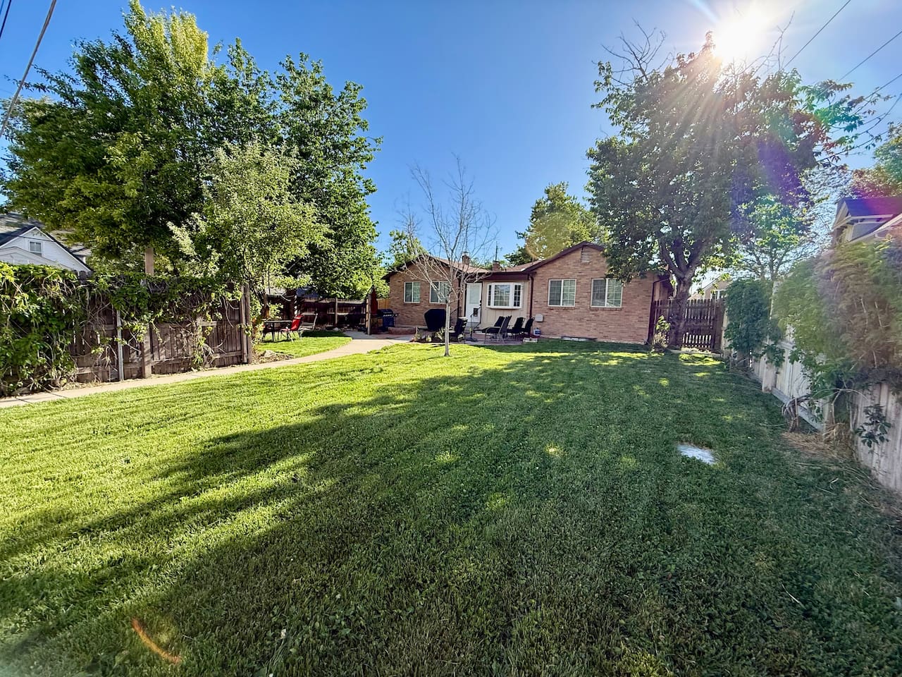 Backyard