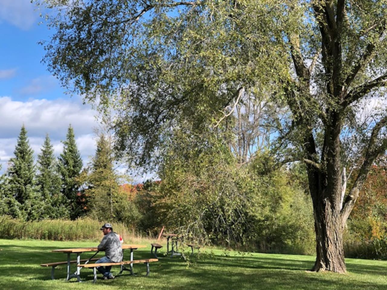 Community space includes picnic tables, bbq, dog run and mini nature trail