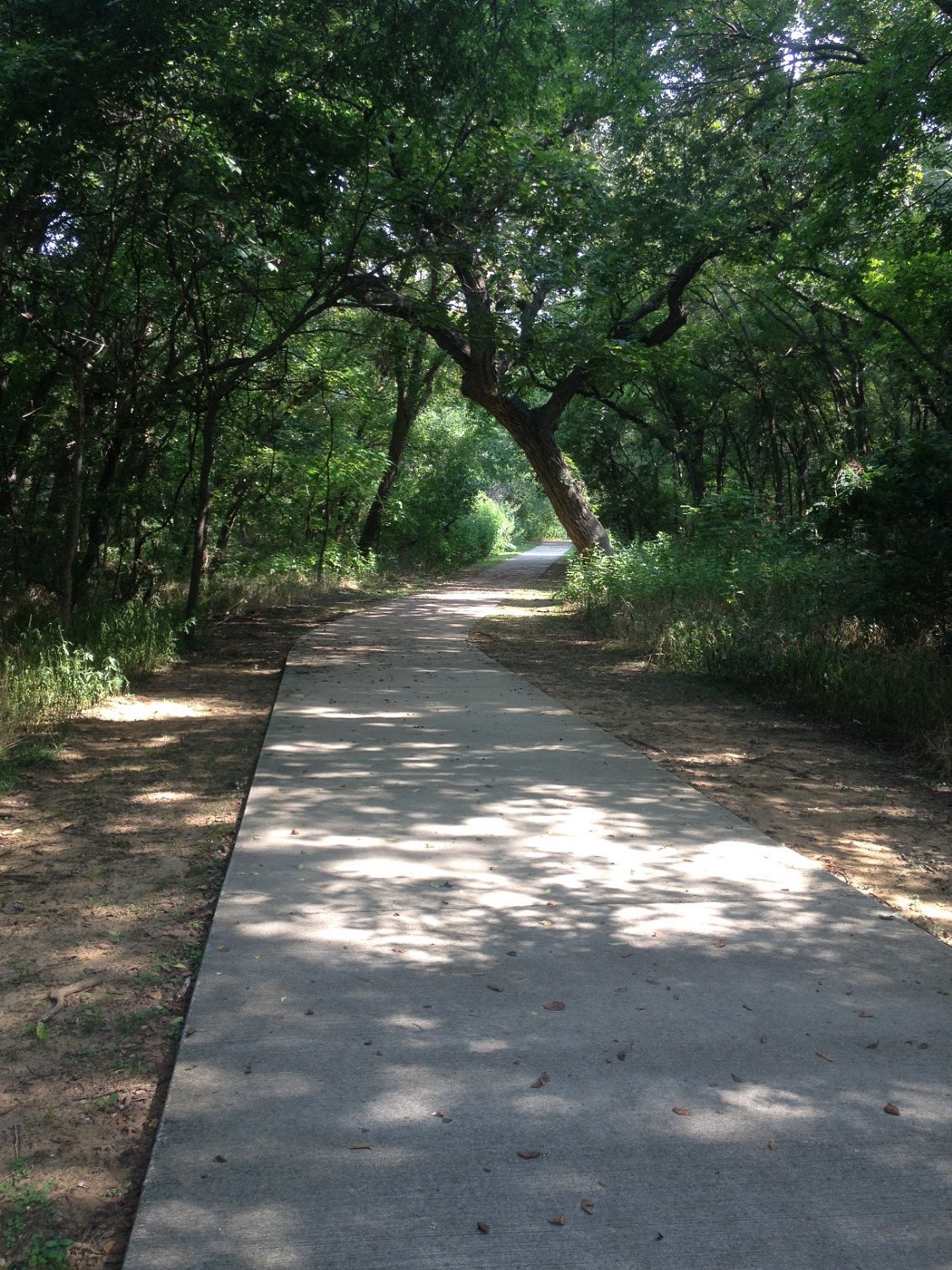 Nearby Walking Trails that Lead to Dog Parks and Playgrounds at the End of  the Cul de Sac